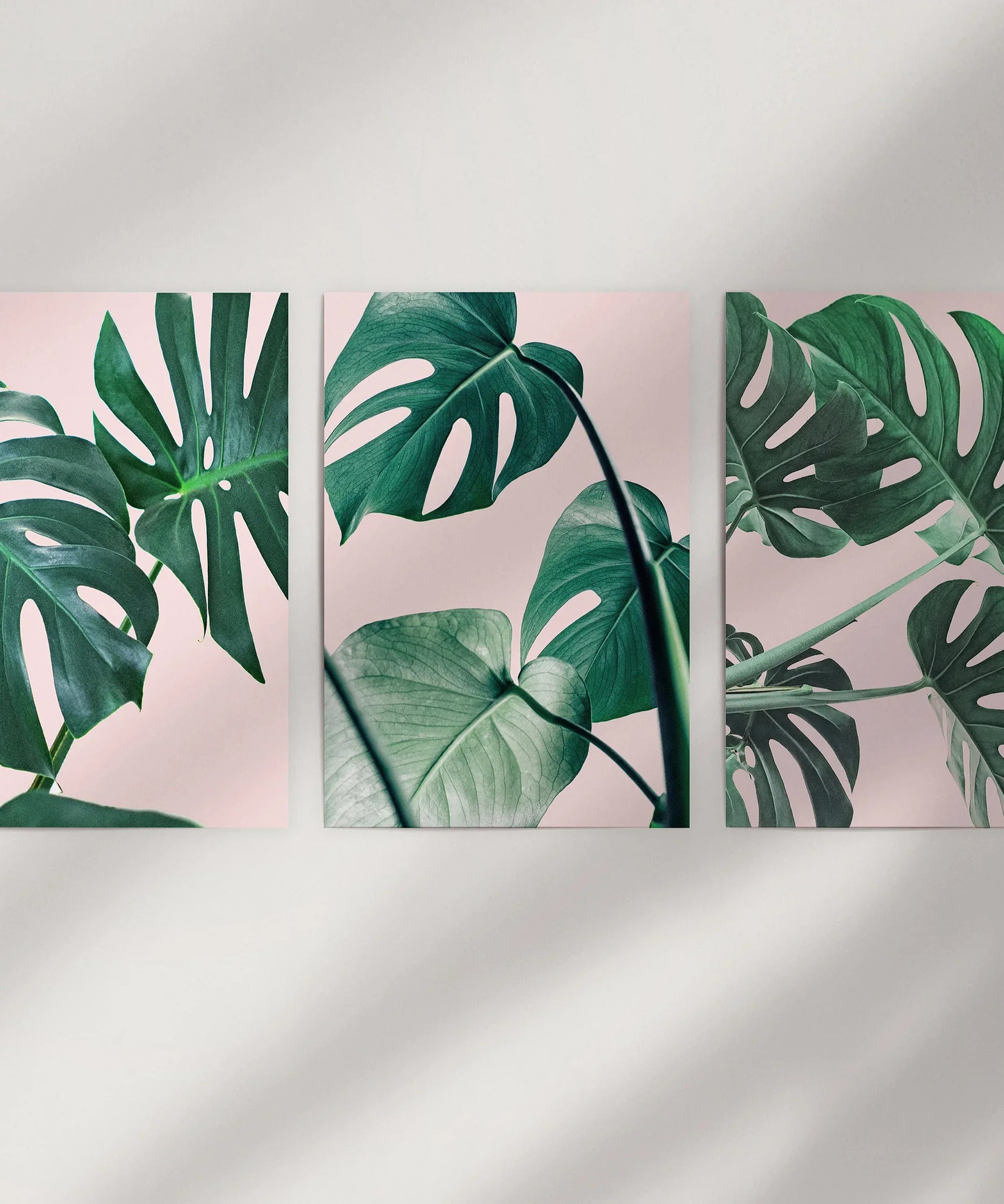 Pink Botanical 3 Piece Wall Art. Green Monstera Leaves Print