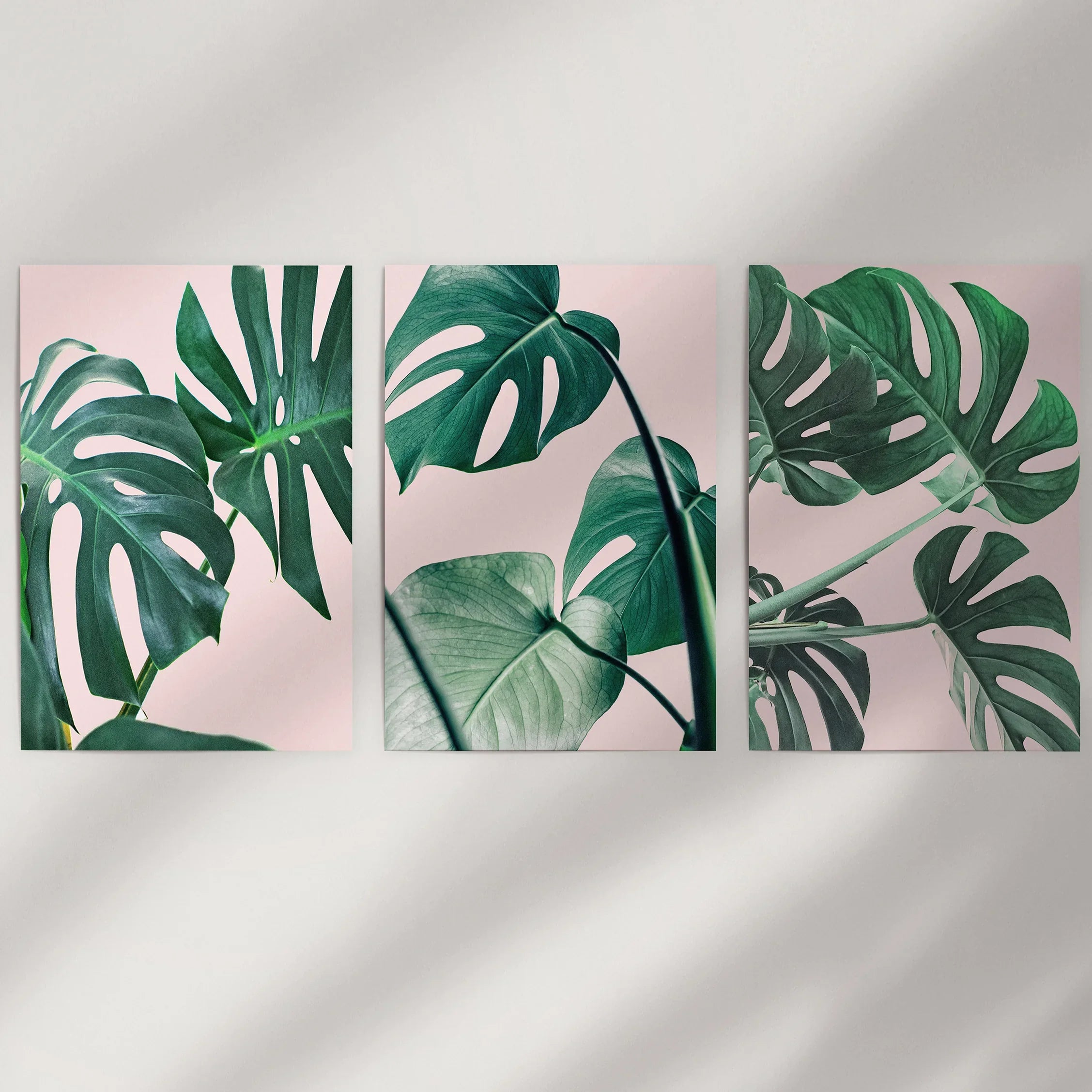Pink Botanical 3 Piece Wall Art. Green Monstera Leaves Print
