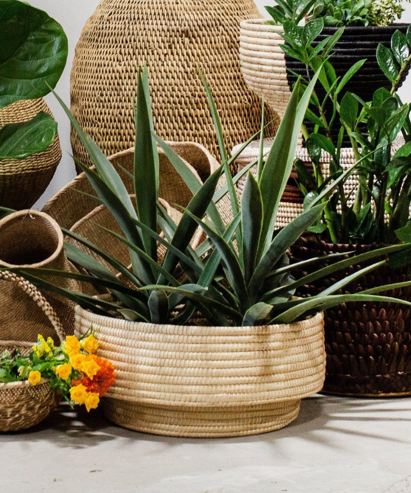 Natural Woven Dengu Basket