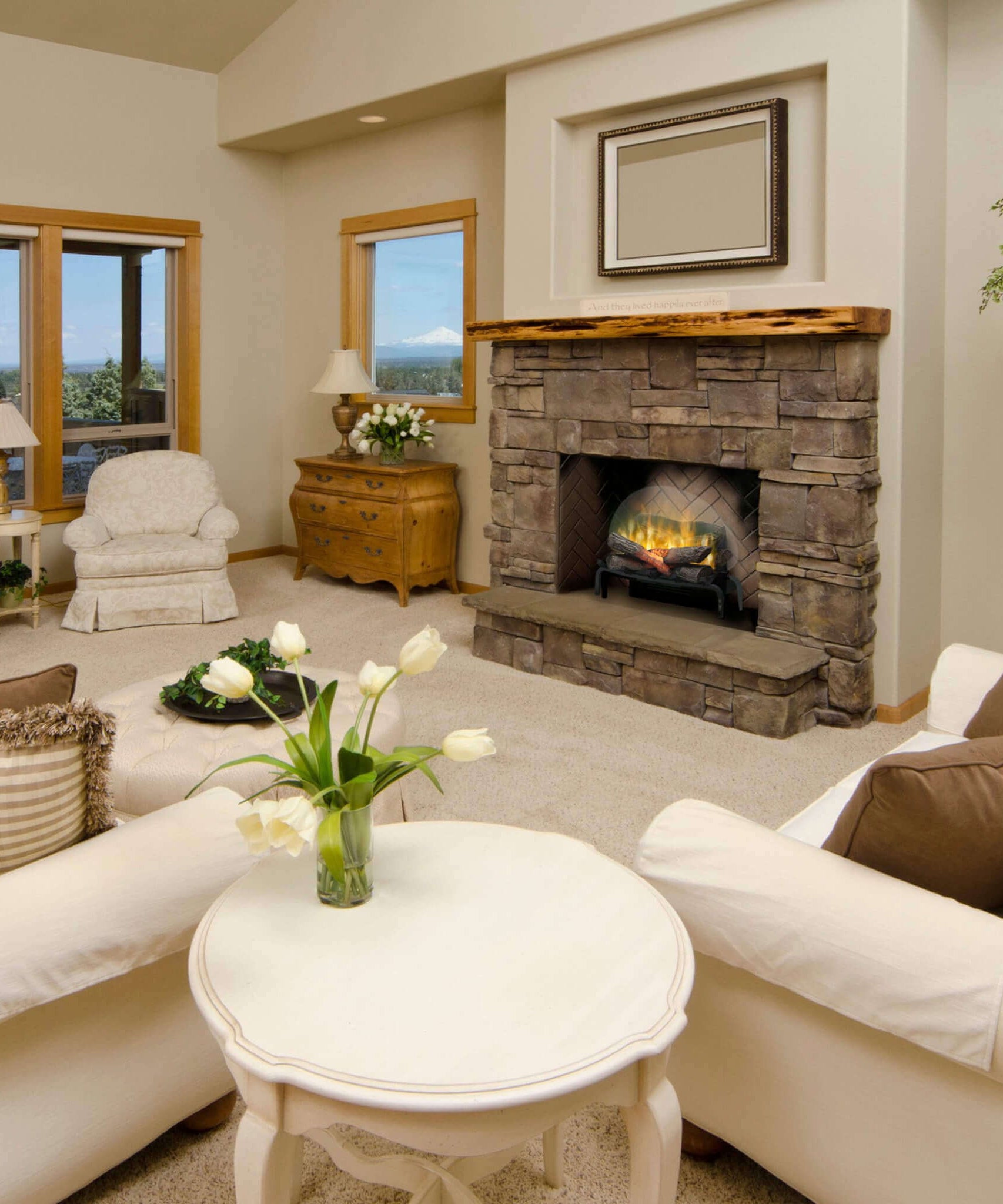 Dimplex Revillusion 20-Inch Electric Fireplace Log Set [RLG20] (SAK29115)