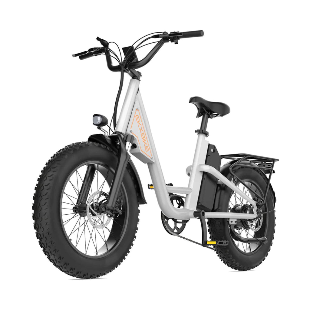 EKX L1 1000W 48V/15.6AH Electric Mountain Fat Tire Bike, 20" (SAK27491)
