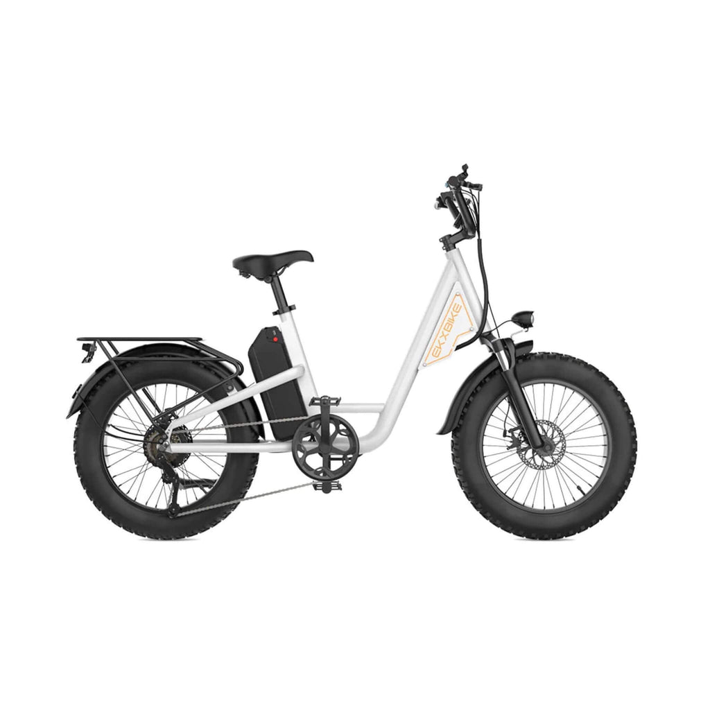EKX L1 1000W 48V/15.6AH Electric Mountain Fat Tire Bike, 20" (SAK27491)