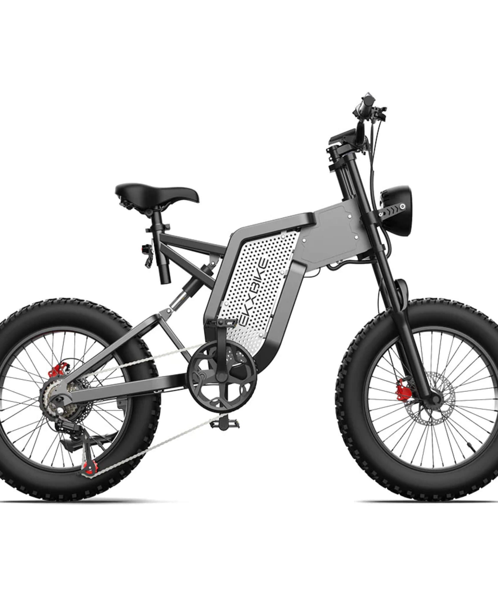 EKX X20 2000W 48V/35AH Electric Bike Mountain Moped E-Bike (SAK31682)