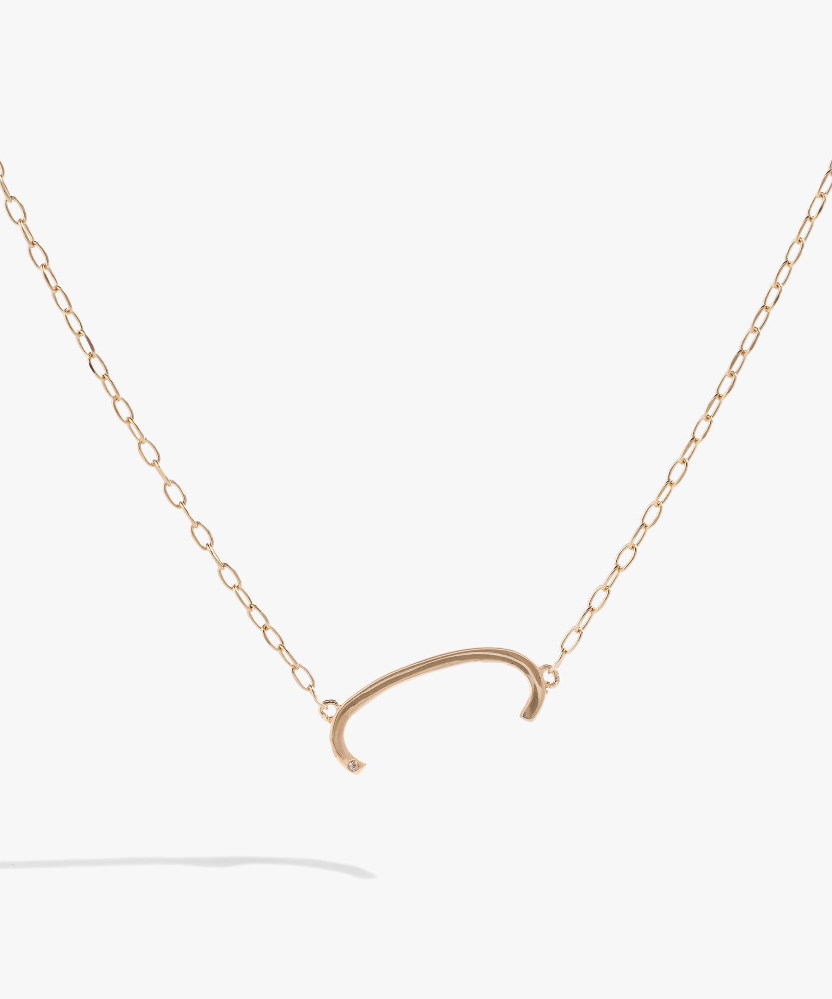 Initial C Precious Elongated Necklace