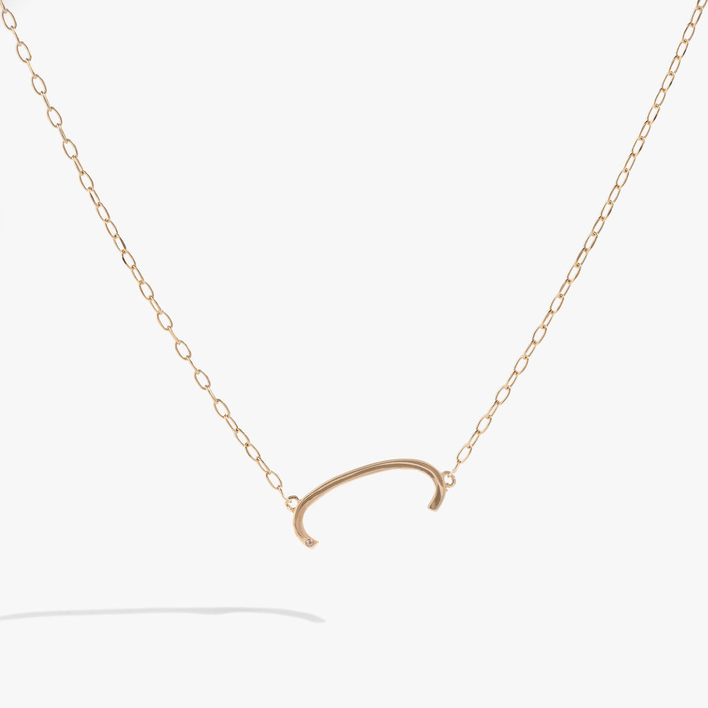 Initial C Precious Elongated Necklace