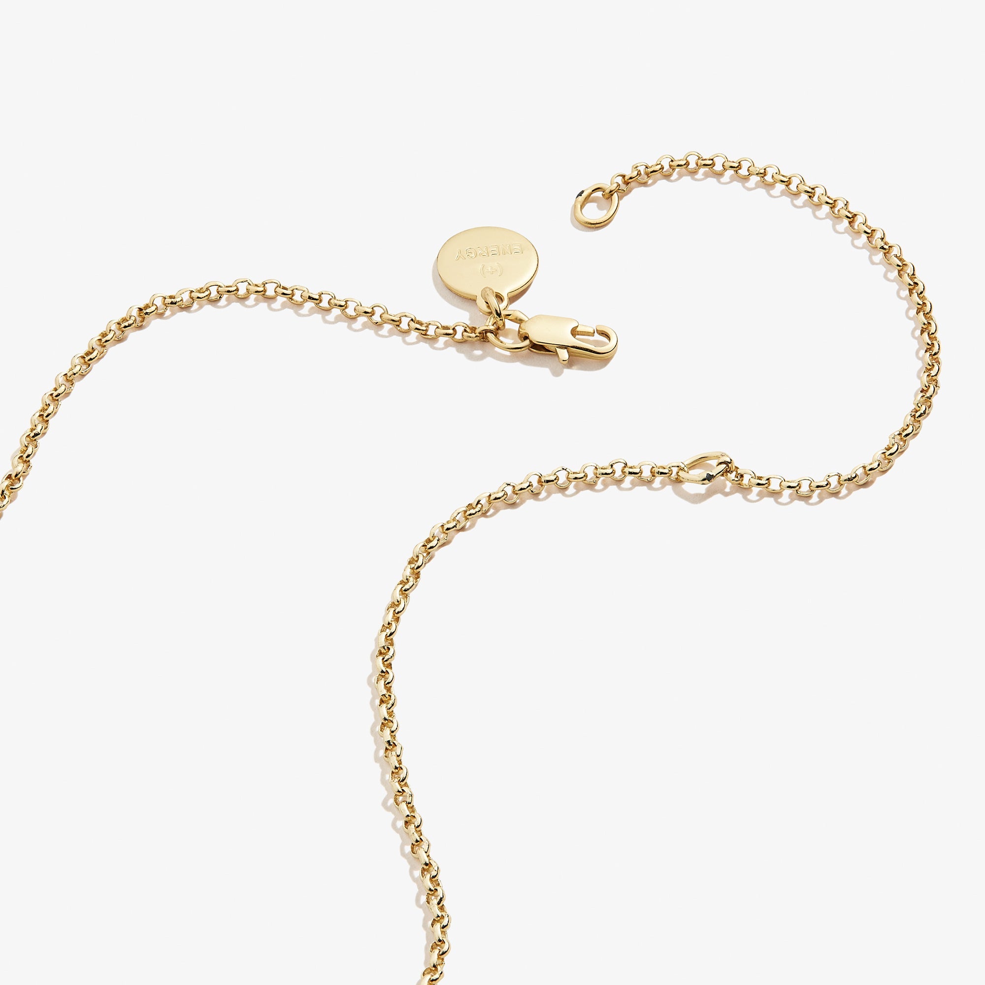 Small Circle Charm Necklace, 19''