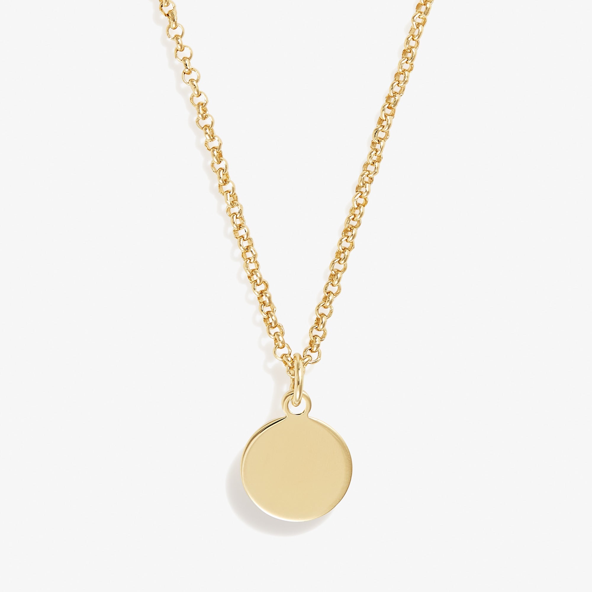 Small Circle Charm Necklace, 19''