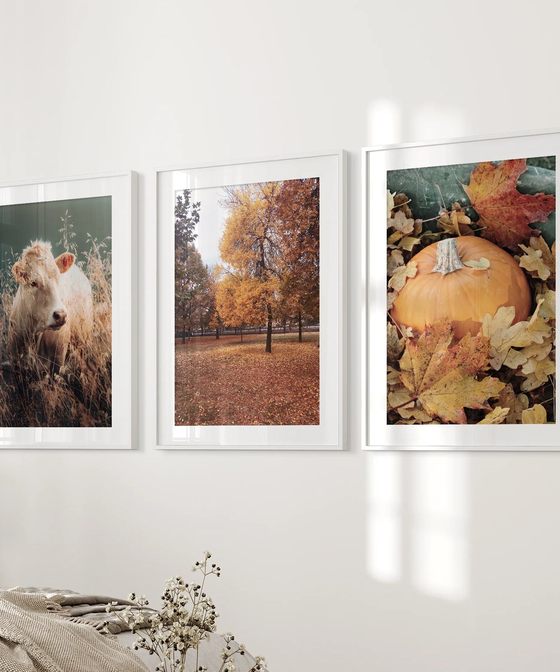 Autumn Farmhouse Prints. Cow, Fall Trees, Pumpkin Decor