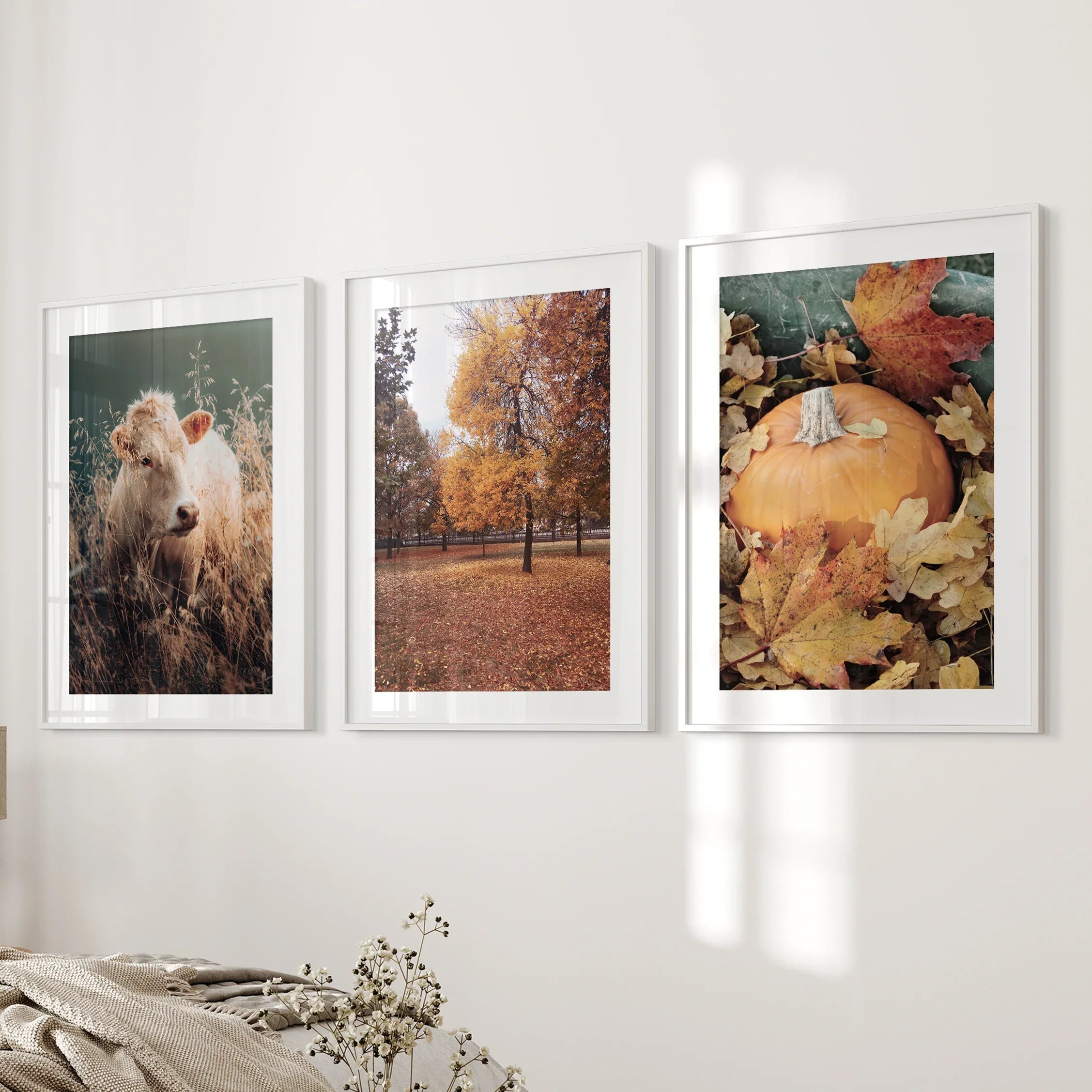 Autumn Farmhouse Prints. Cow, Fall Trees, Pumpkin Decor