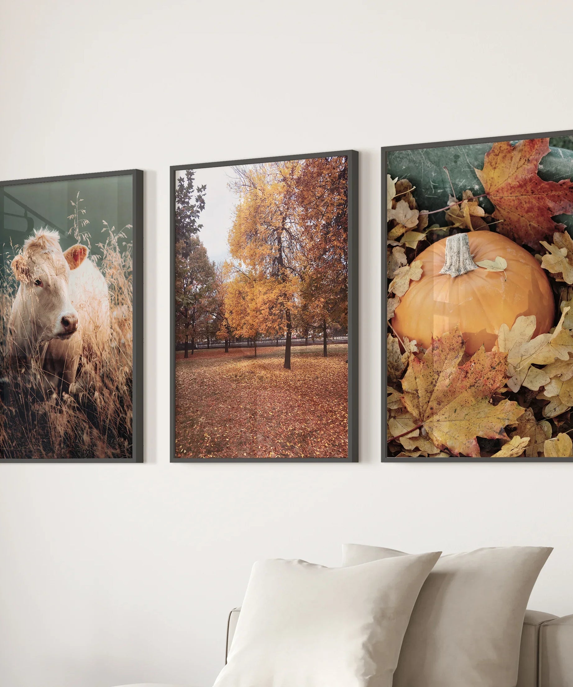 Autumn Farmhouse Prints. Cow, Fall Trees, Pumpkin Decor
