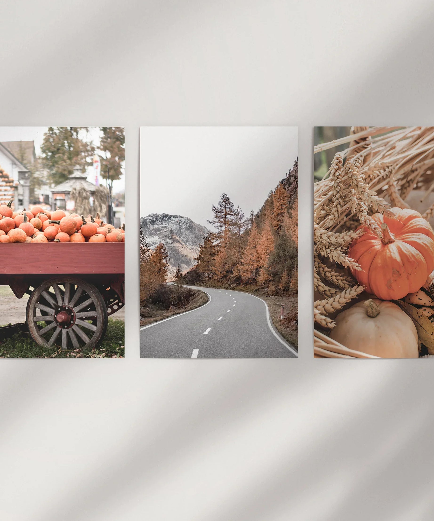Autumn Pumpkin Set of 3 Prints. Rustic Fall Harvest Decor