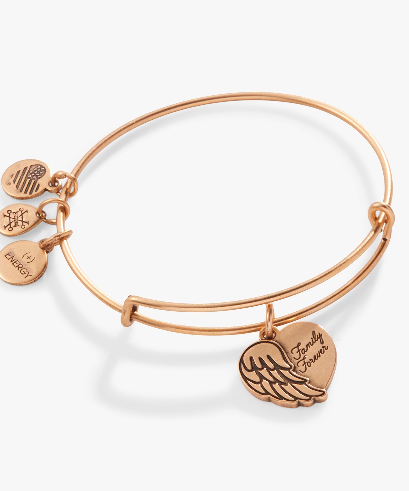 'Family Forever' Angel Wing Heart Charm Bangle
