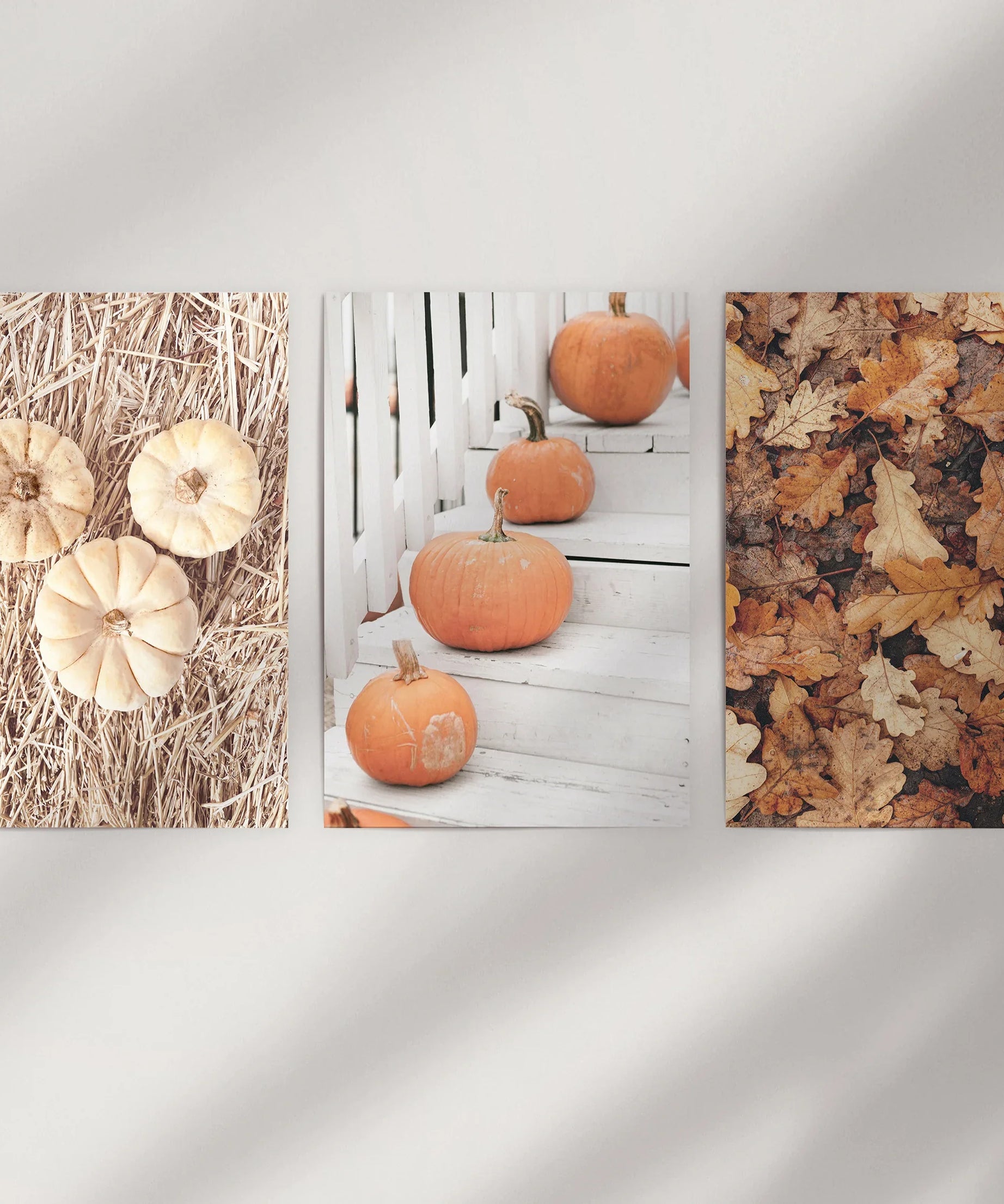Cozy Fall Wall Art Set of 3. Pumpkins and Autumn Leaves
