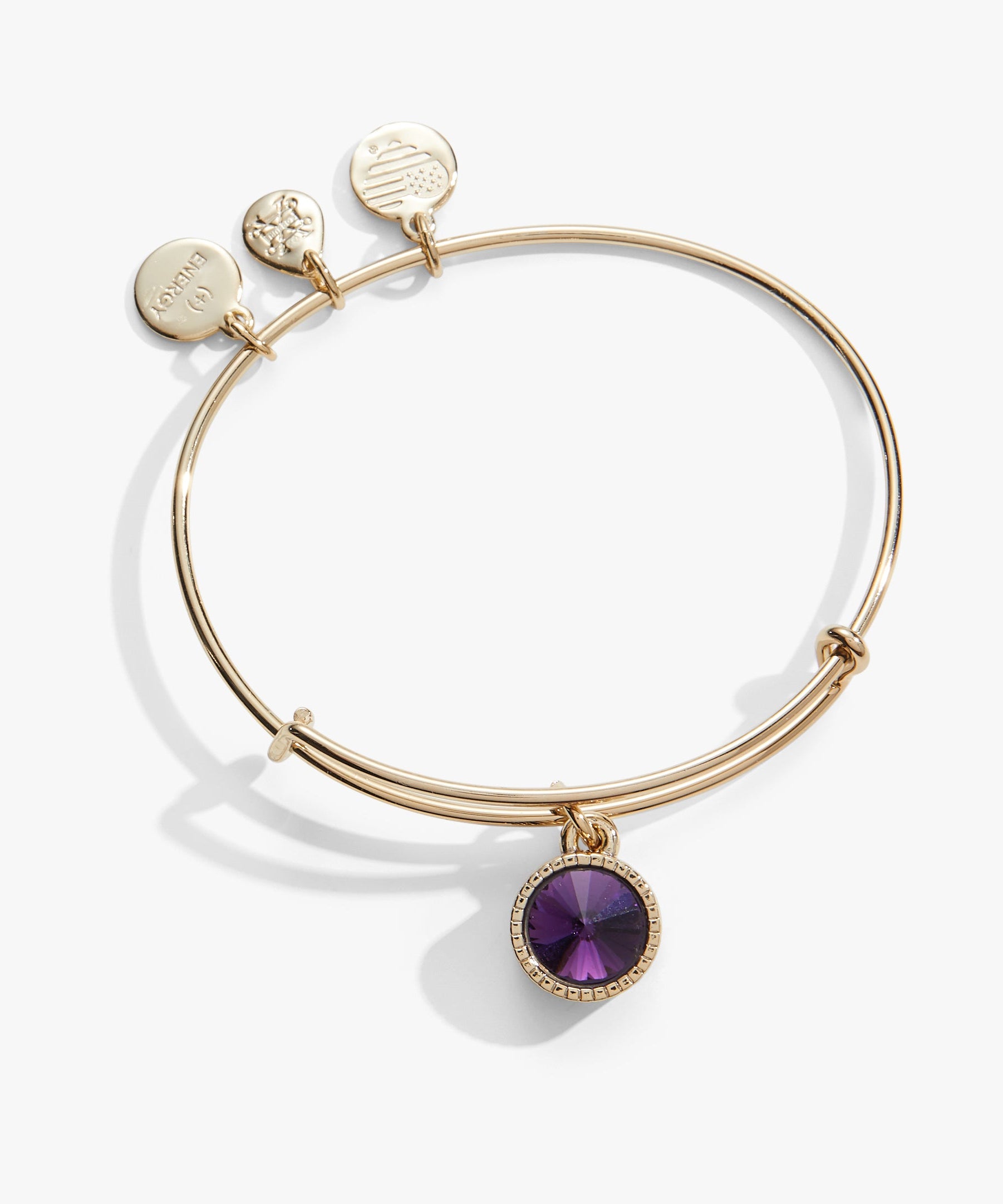 February Birthstone Charm Bangle, Amethyst