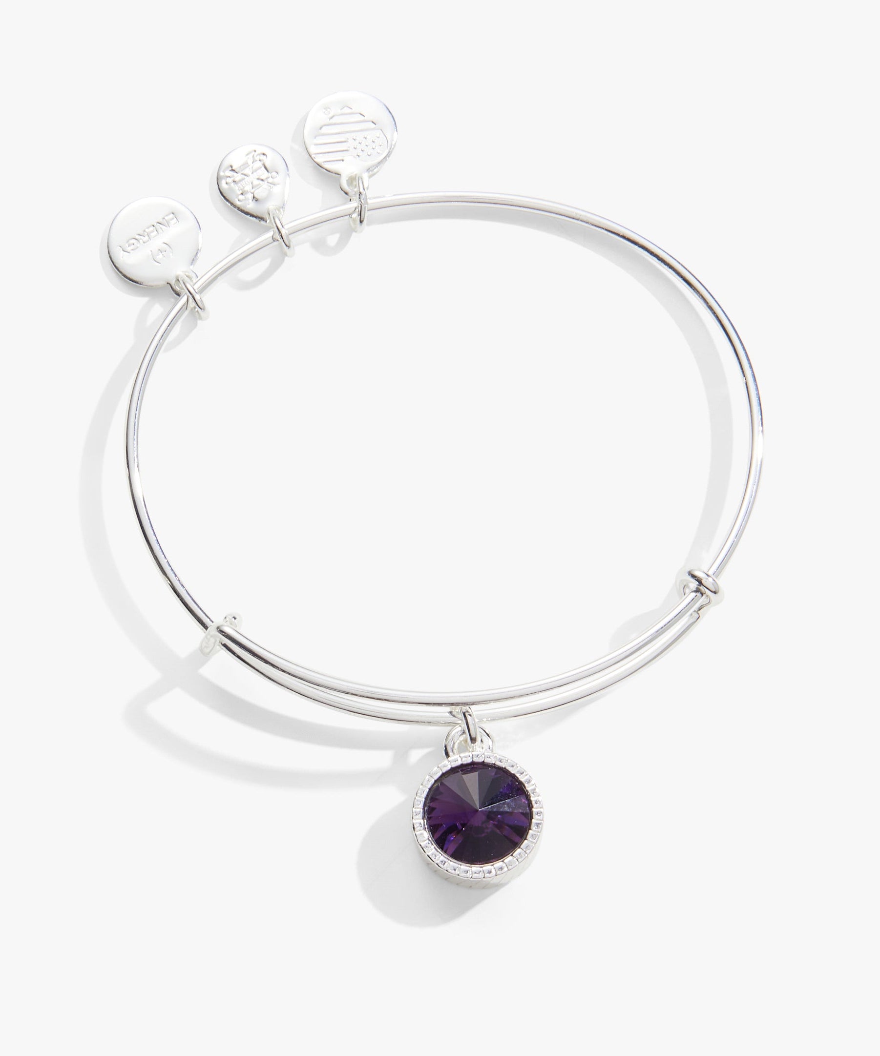 February Birthstone Charm Bangle, Amethyst