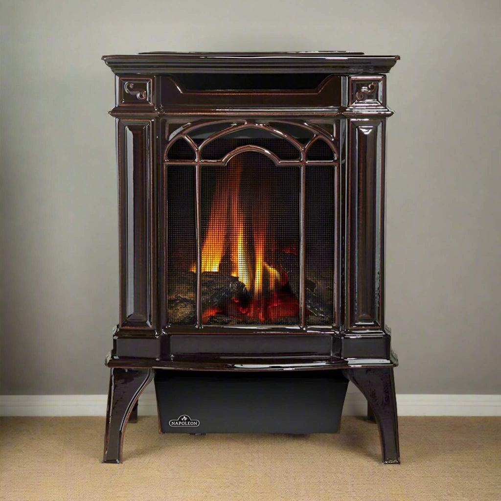 Napoleon Arlington 20 19-Inch Cast Iron Millivolt Ignition Majolica Brown Natural Gas Stove [GDS20NNSB] (SAK43798)