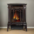 Napoleon Arlington 20 19-Inch Cast Iron Millivolt Ignition Majolica Brown Natural Gas Stove [GDS20NNSB] (SAK43798)
