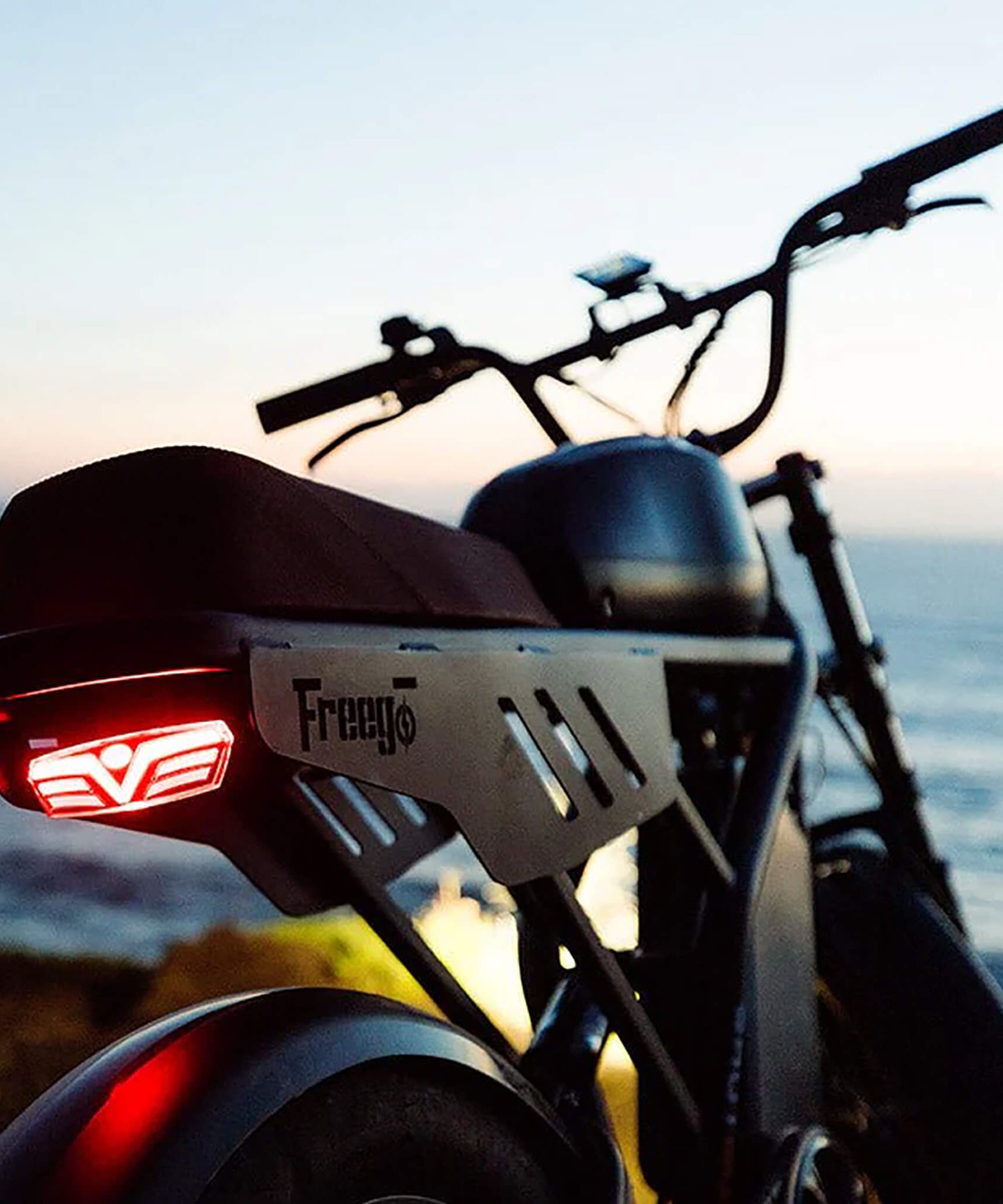 Freego Shotgun Flash F3 Pro Max Electric Dual Motor Bike, 1000W (SAK41583)