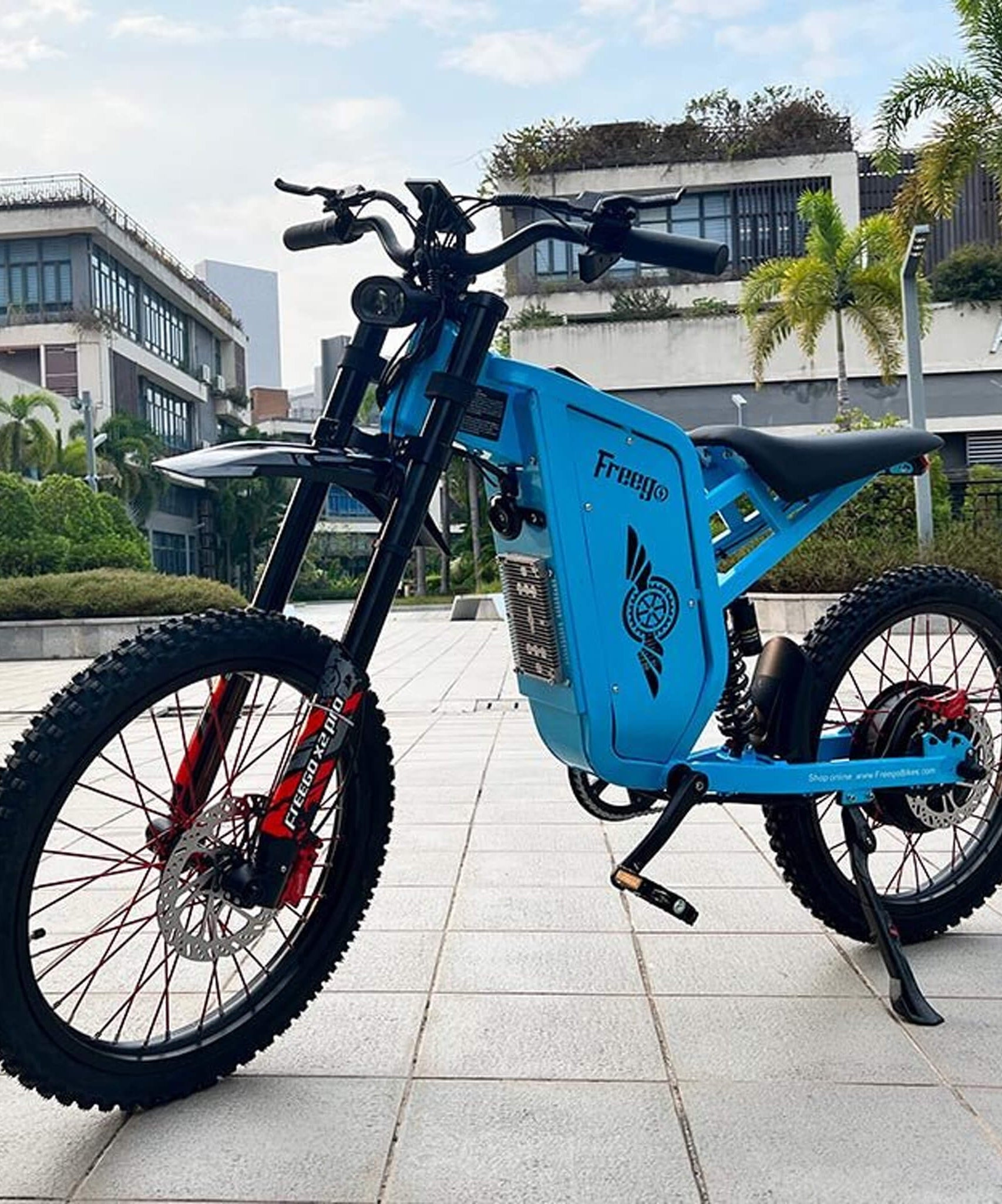 Freego X2 (X2 Pro) All-Terrain Mountain Off-Road Motorcycle, 3000W (SAK91725)