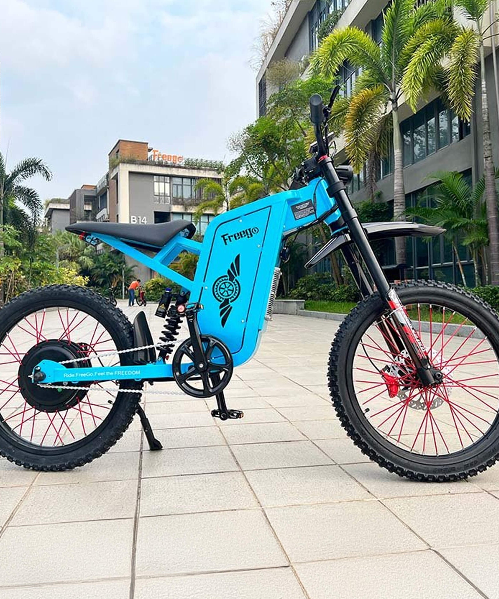 Freego X2 (X2 Pro) All-Terrain Mountain Off-Road Motorcycle, 3000W (SAK91725)