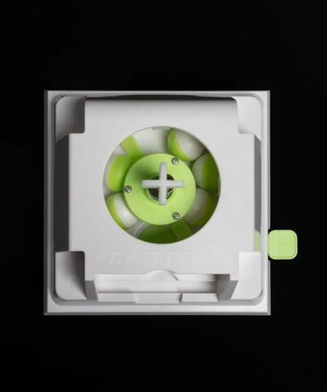 Gateron Giant Switches Gocha Mechine