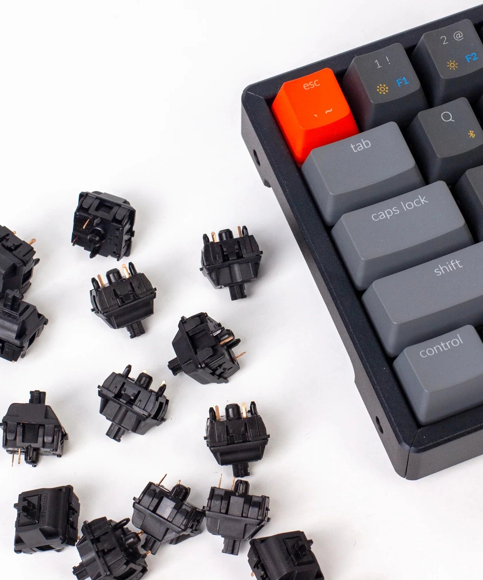 Gateron Oil King (Prelubed)