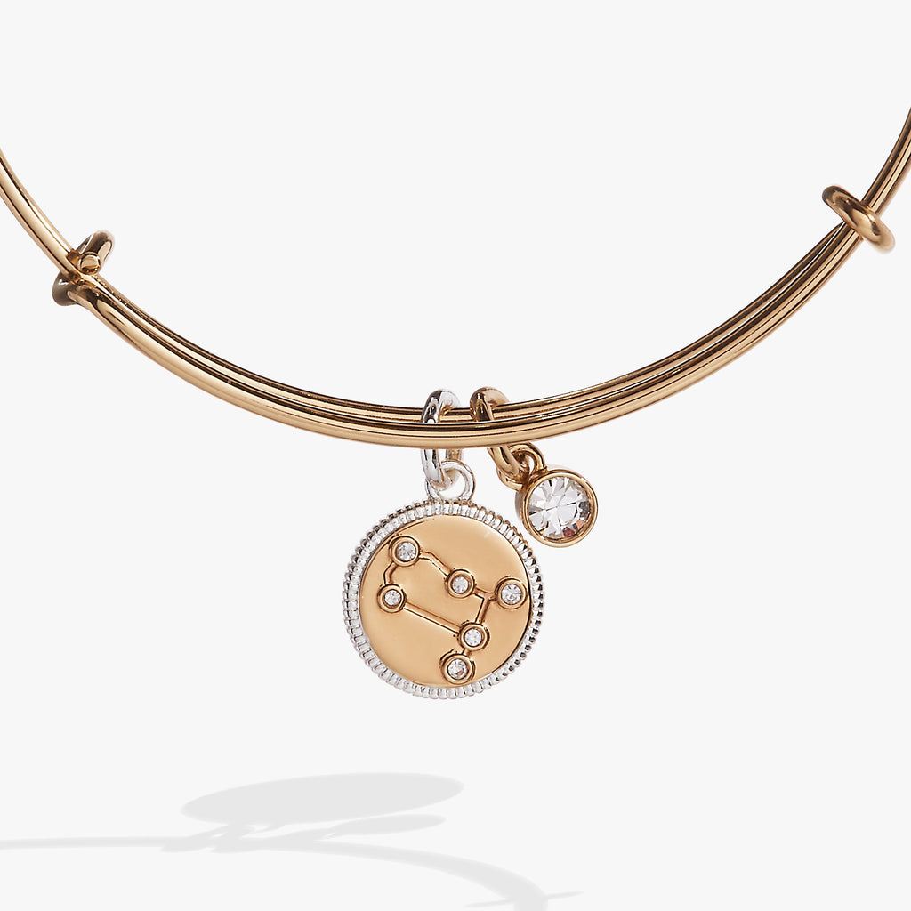 Gemini Zodiac Charm Bangle