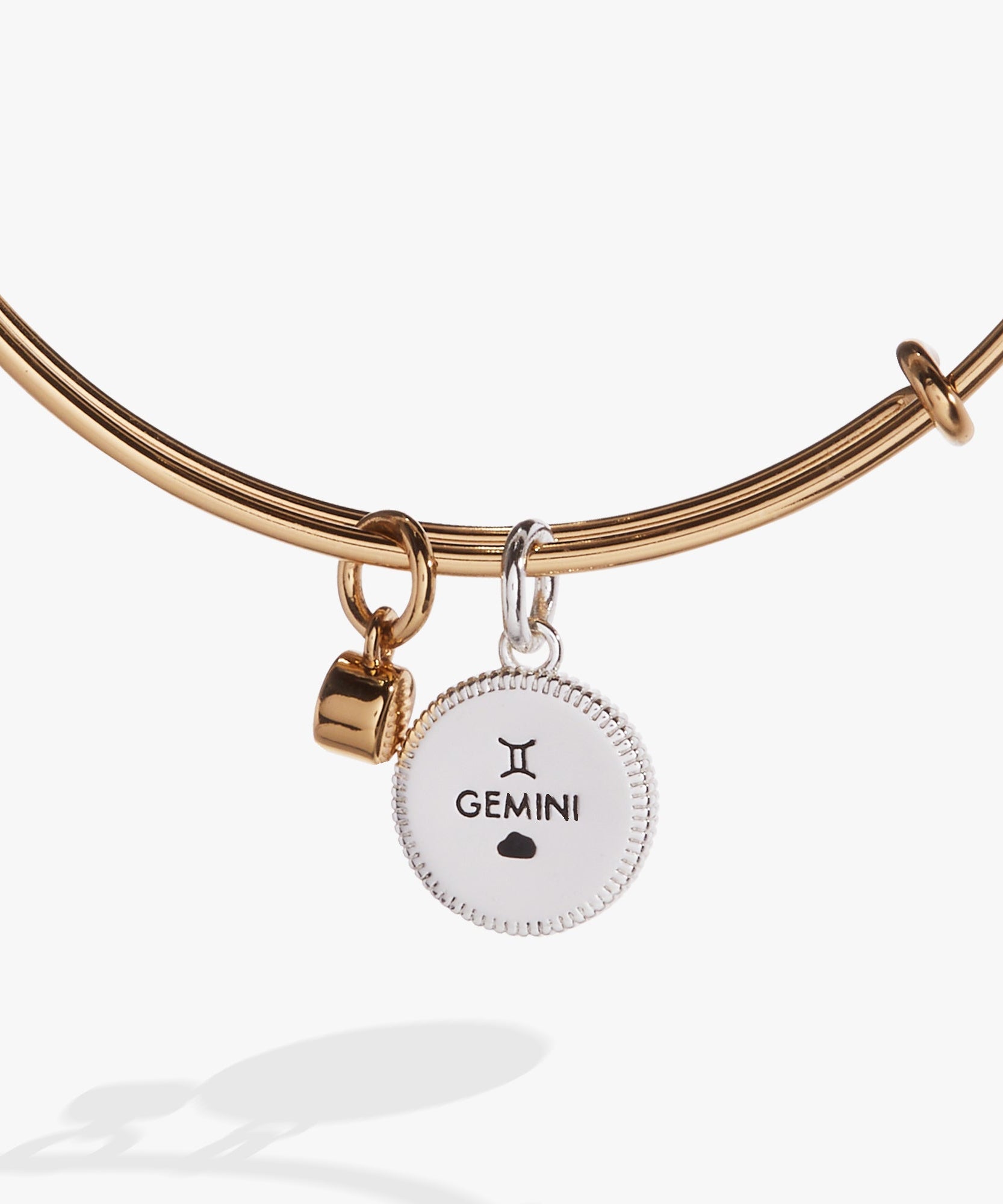 Gemini Zodiac Charm Bangle