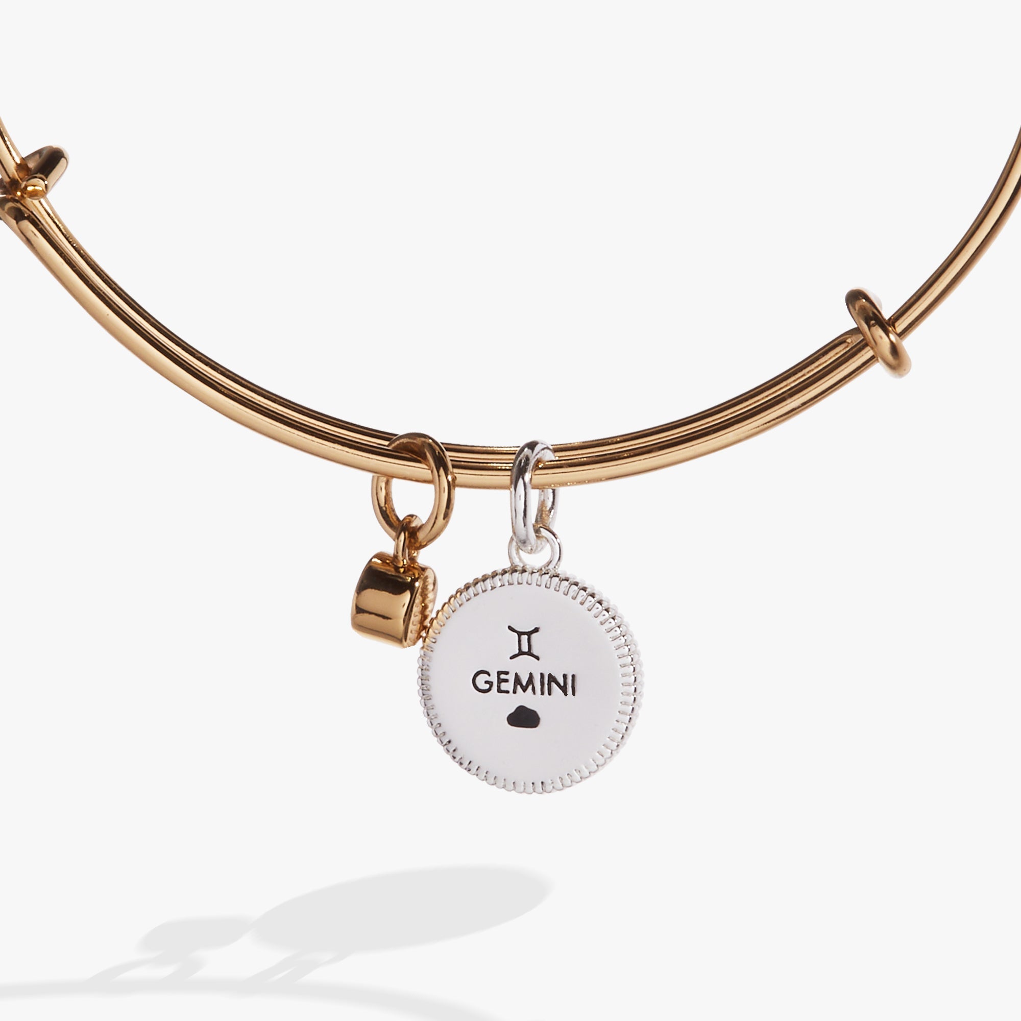 Gemini Zodiac Charm Bangle