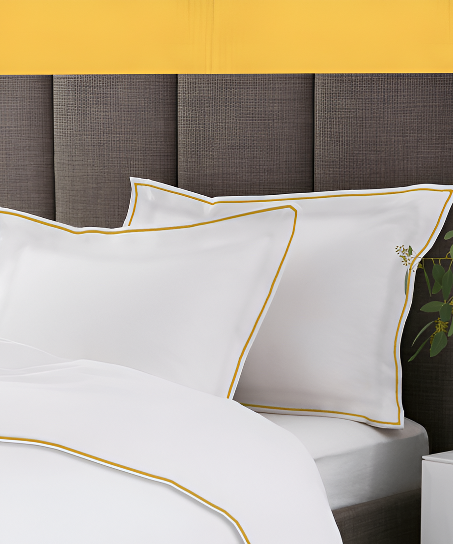 400TC Embroidery Cotton Sateen Solid Duvet Cover Set