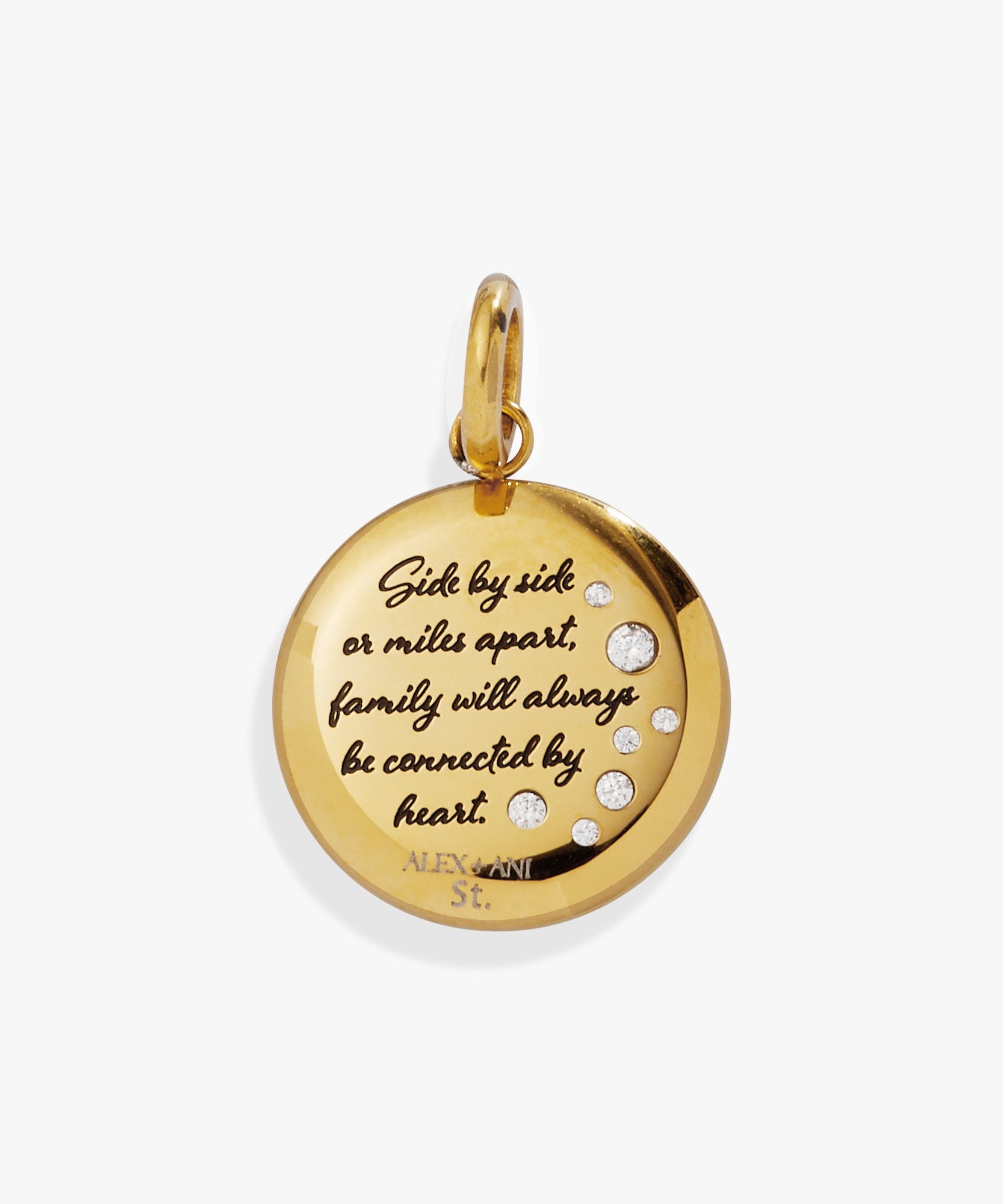 Grandma Hummingbird Disc Charm