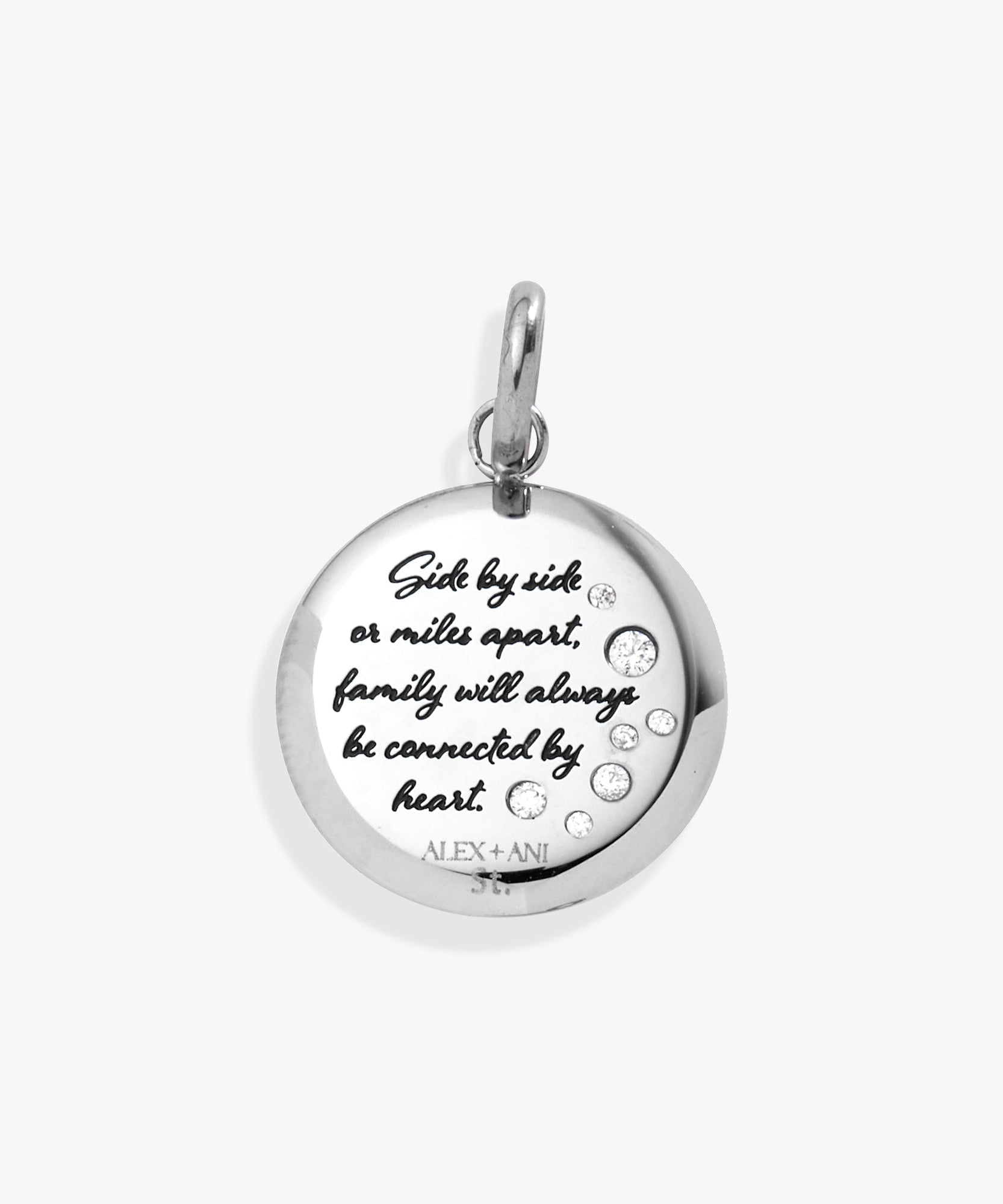 Grandma Hummingbird Disc Charm