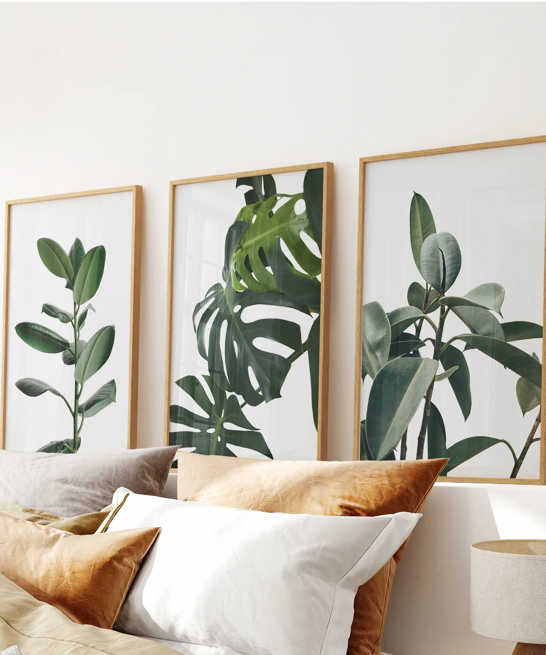 Botanical Set of 3  Prints. Tropical Monstera, Rubber Plant