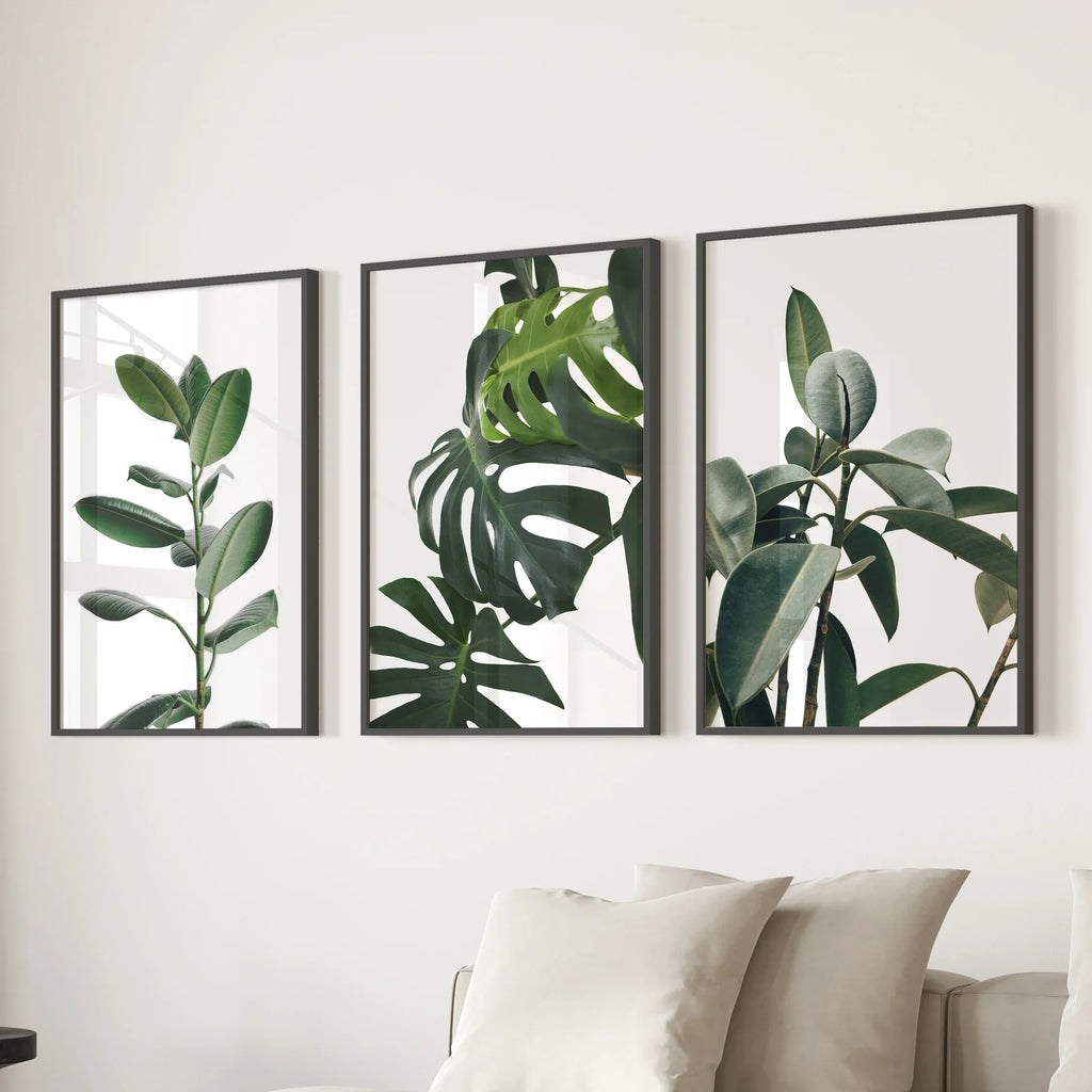 Botanical Set of 3  Prints. Tropical Monstera, Rubber Plant