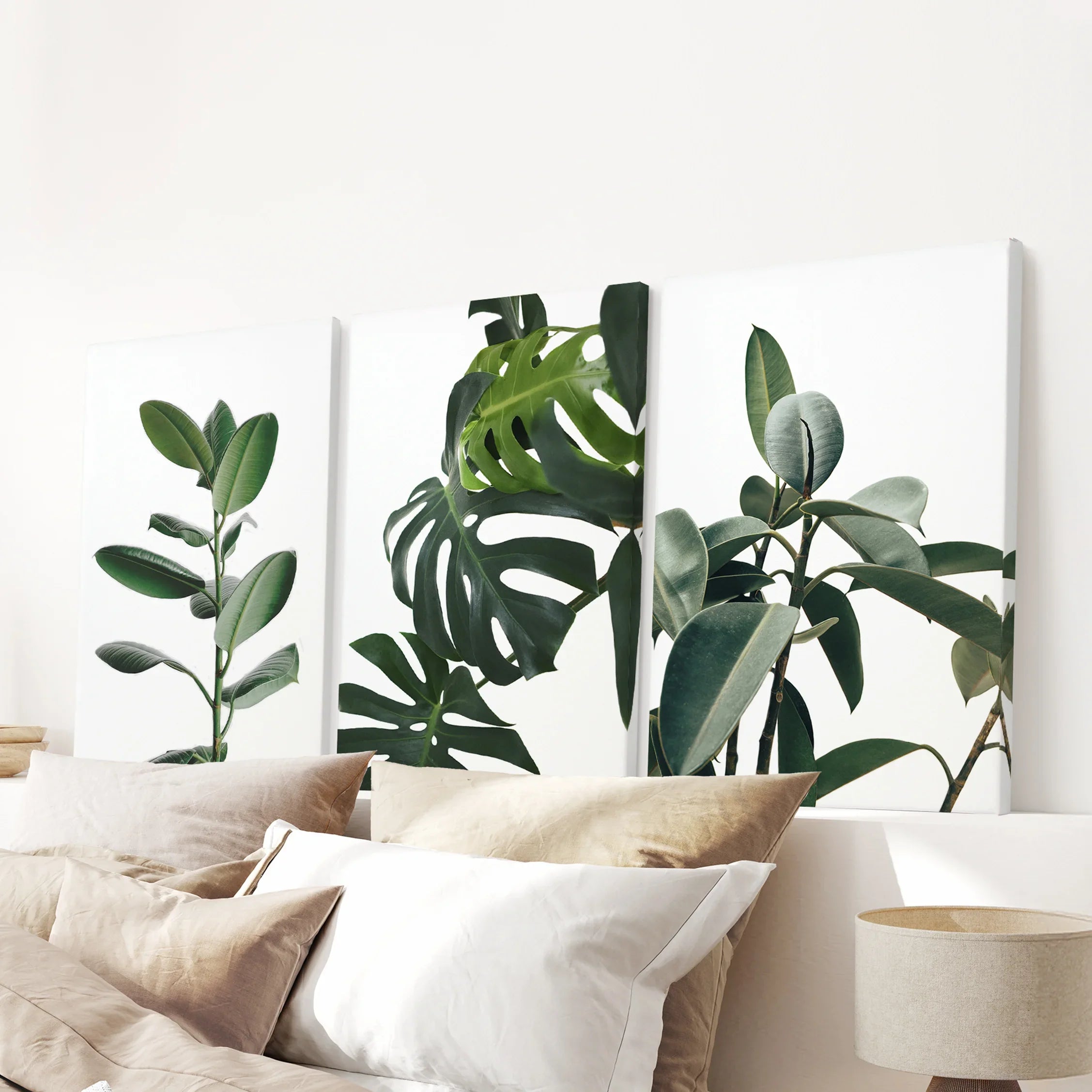 Botanical Set of 3  Prints. Tropical Monstera, Rubber Plant