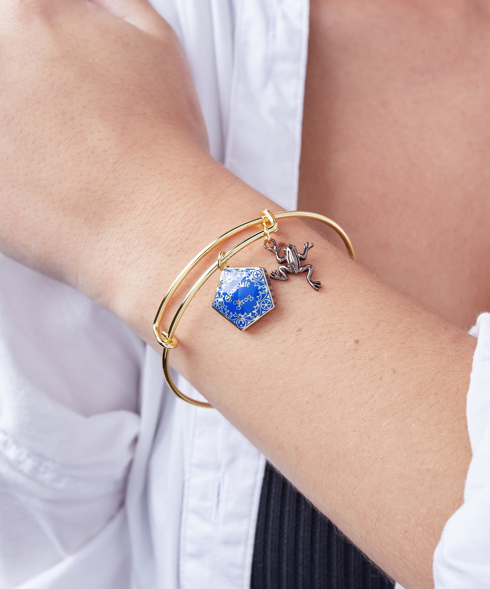 Harry Potter™ Chocolate Frog Two-Charm Bangle