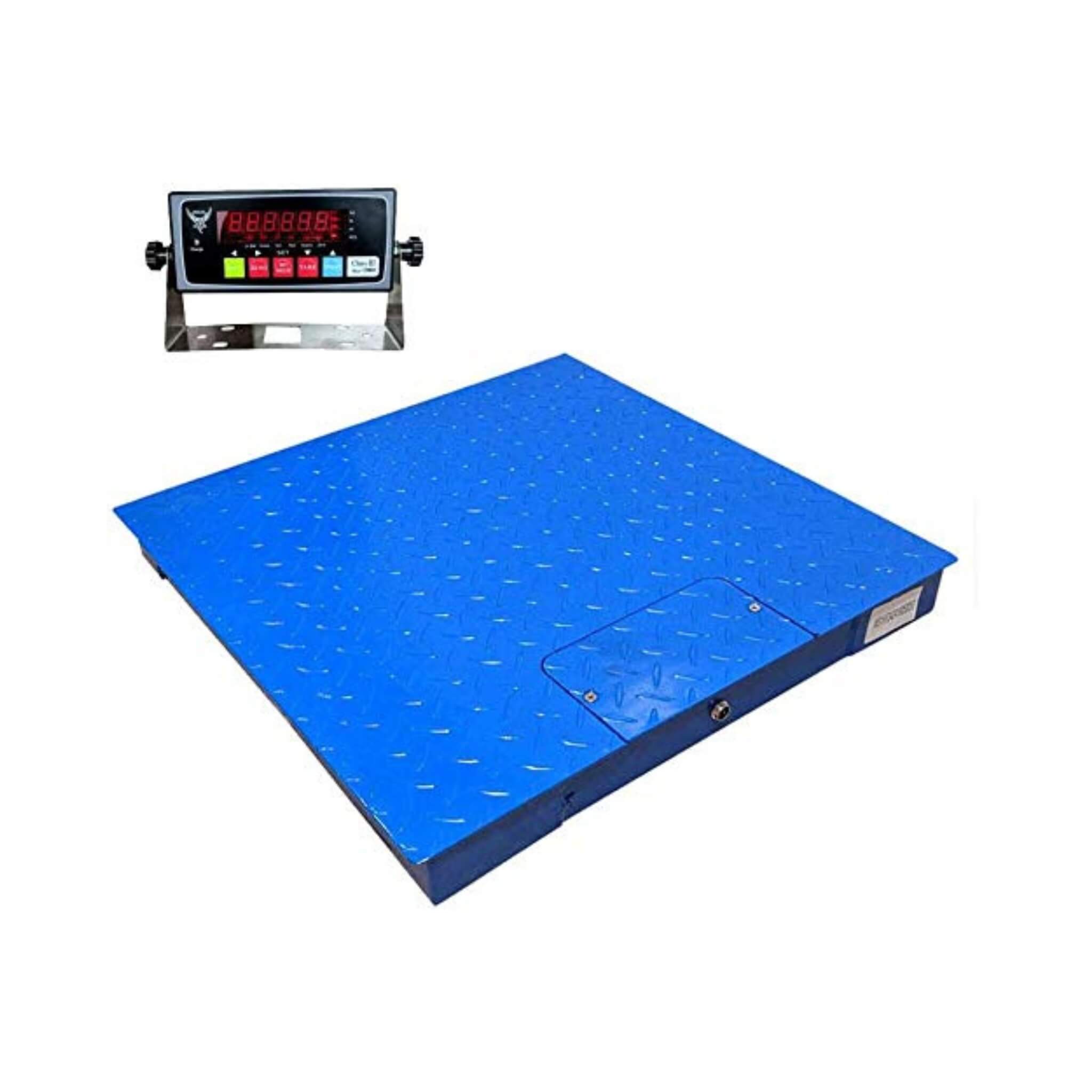Heavy-Duty Industrial Digital Floor Scale With NETP Indicator (SAK69825)