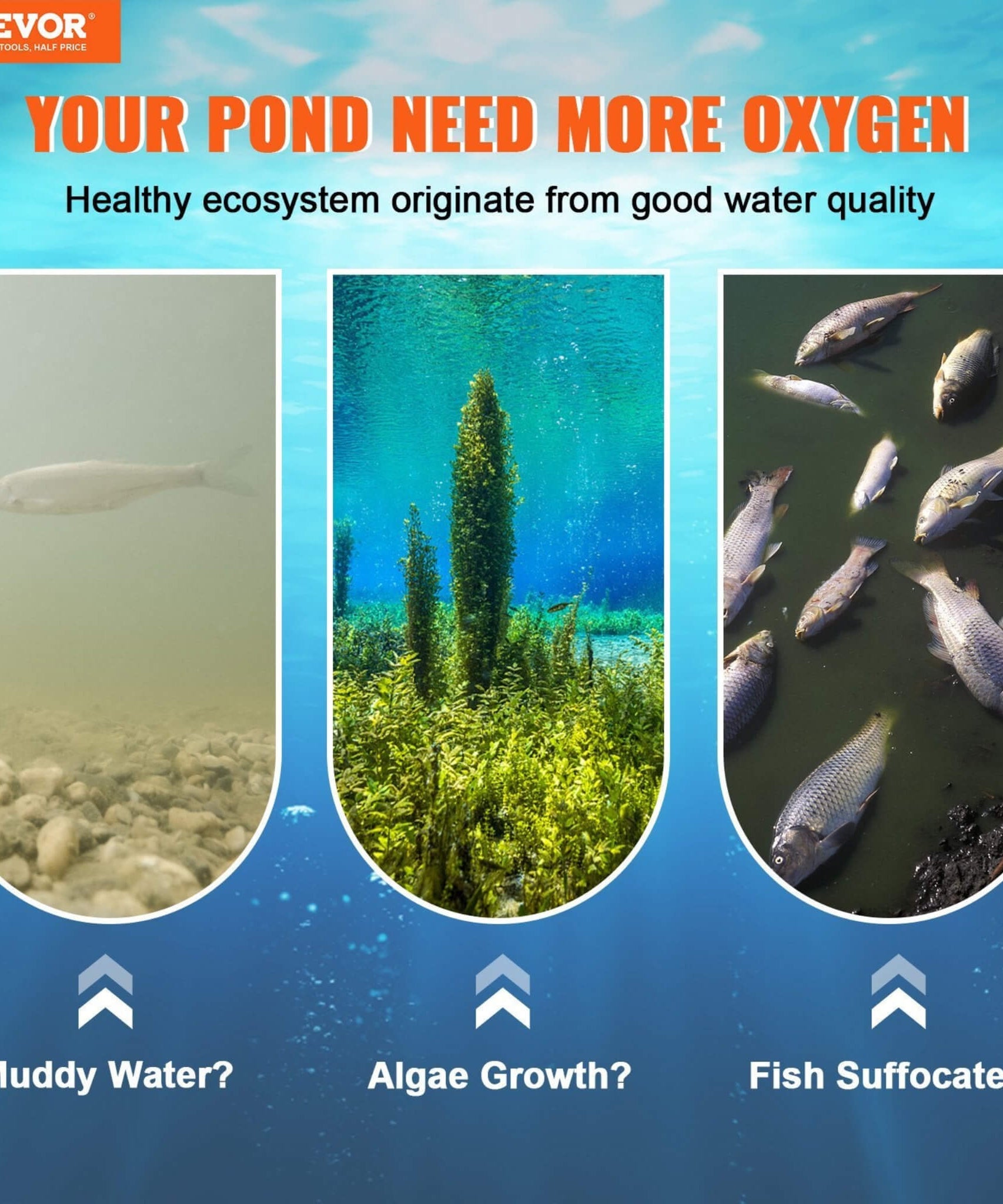 Heavy-Duty Pond Aerator Kit With Compressor, Diffusers And Weighted Tubing (SAK08795)