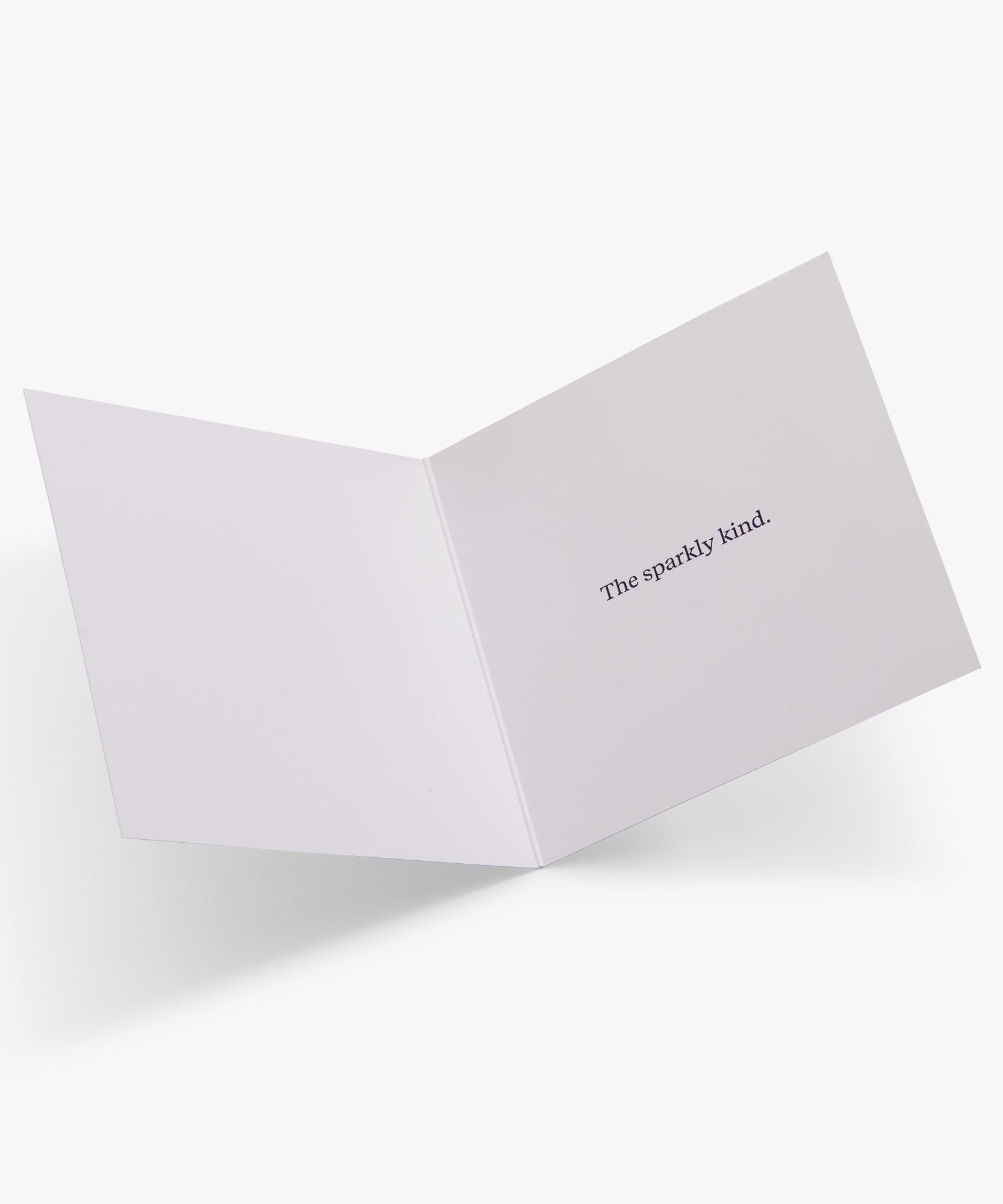 Holiday Greeting Card