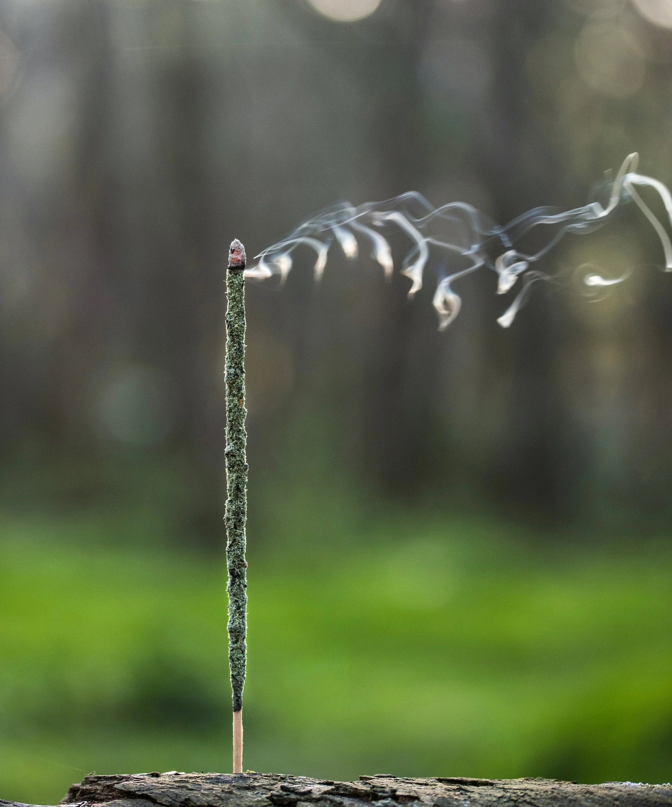 Green Shimmer Gaia Incense Sticks