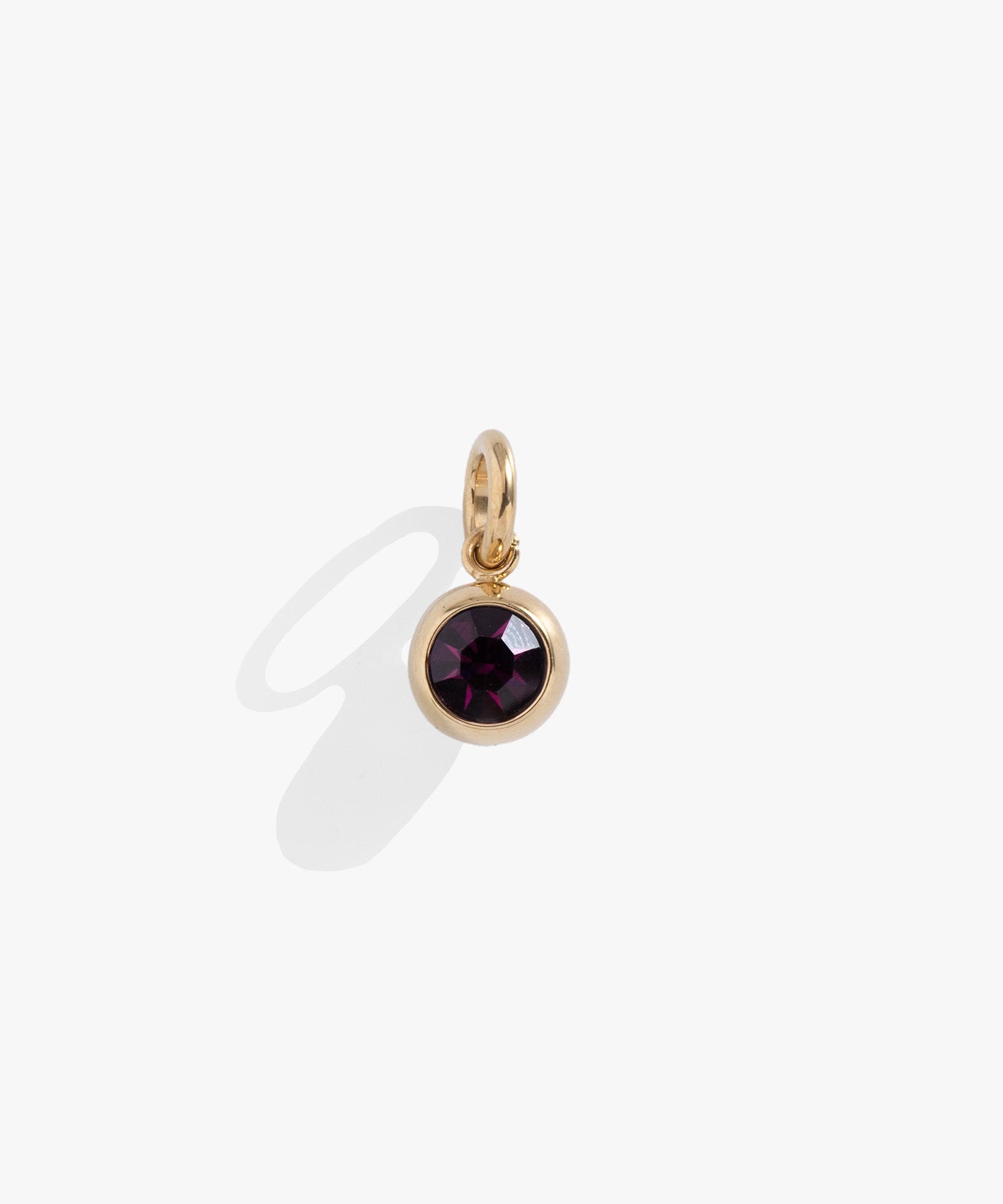 February Birthstone Interchangeable Charm