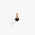February Birthstone Interchangeable Charm