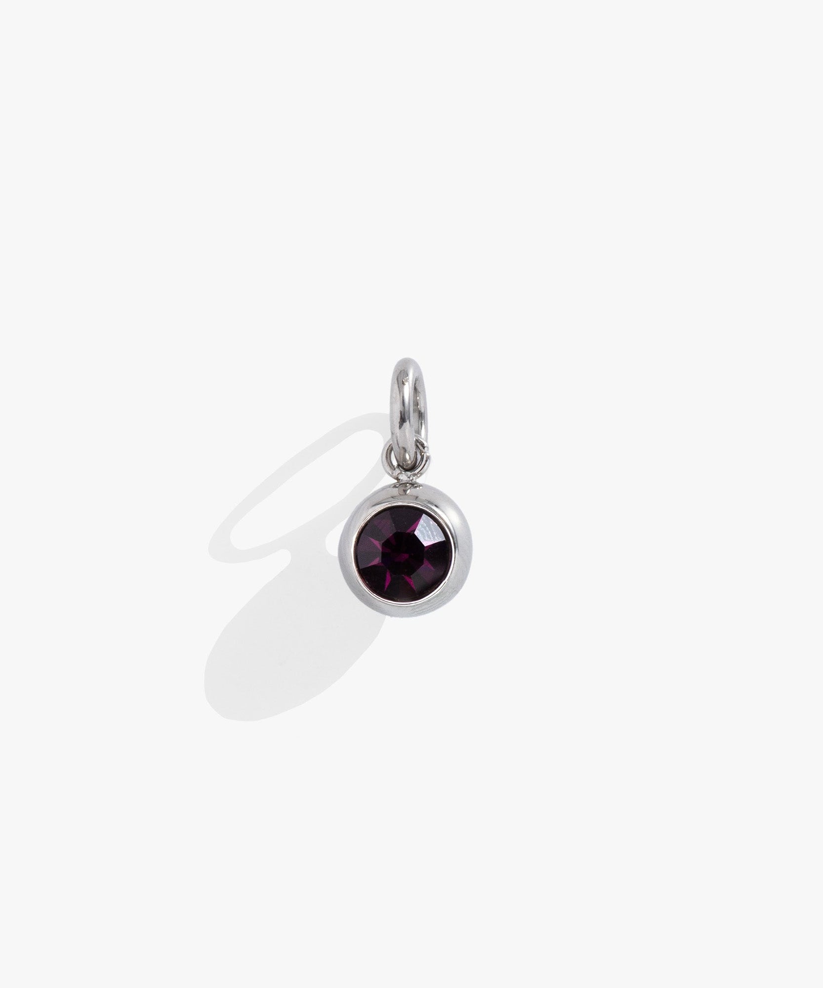 February Birthstone Interchangeable Charm