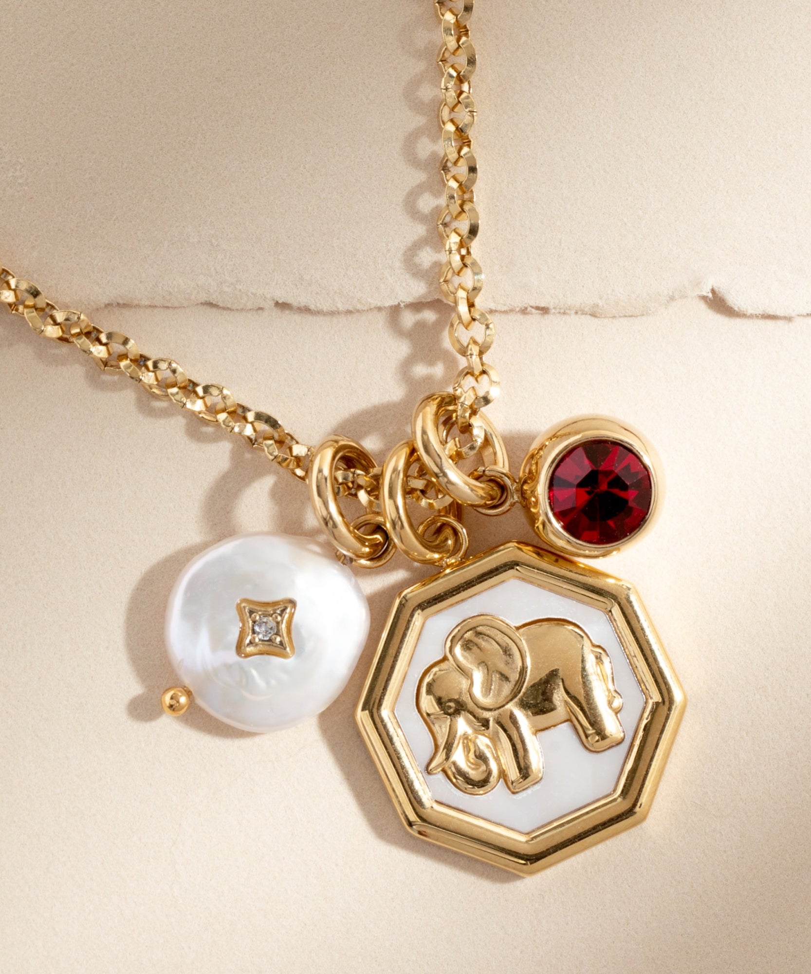 January Birthstone Interchangeable Charm