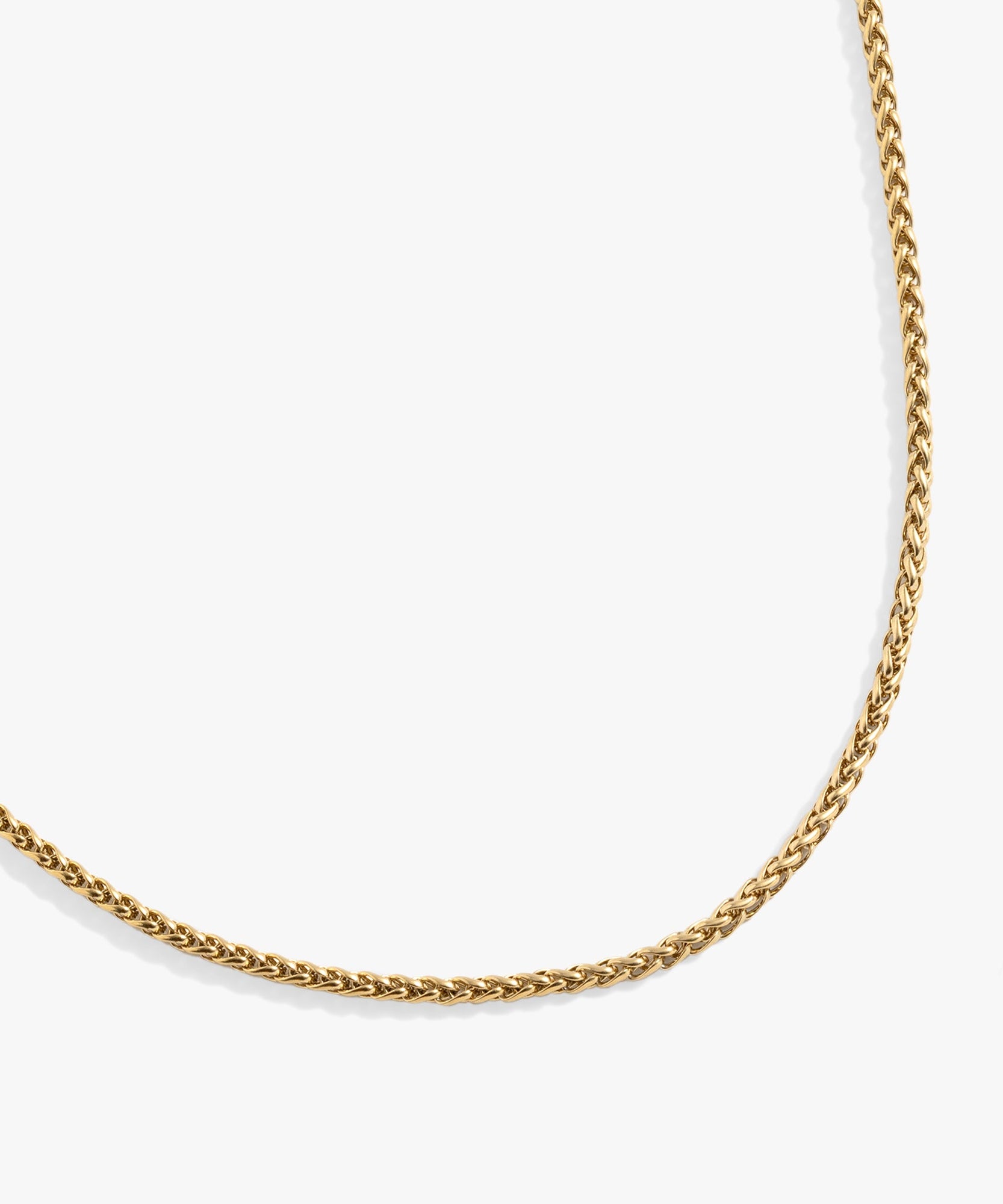 Wheat Chain Charm & Layering Necklace