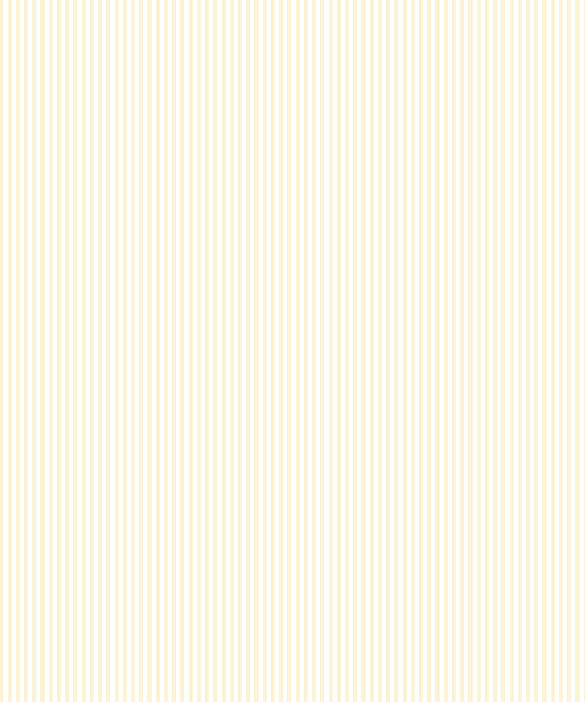 Classic Applique Ticking Stripe Cotton Duvet Cover Set