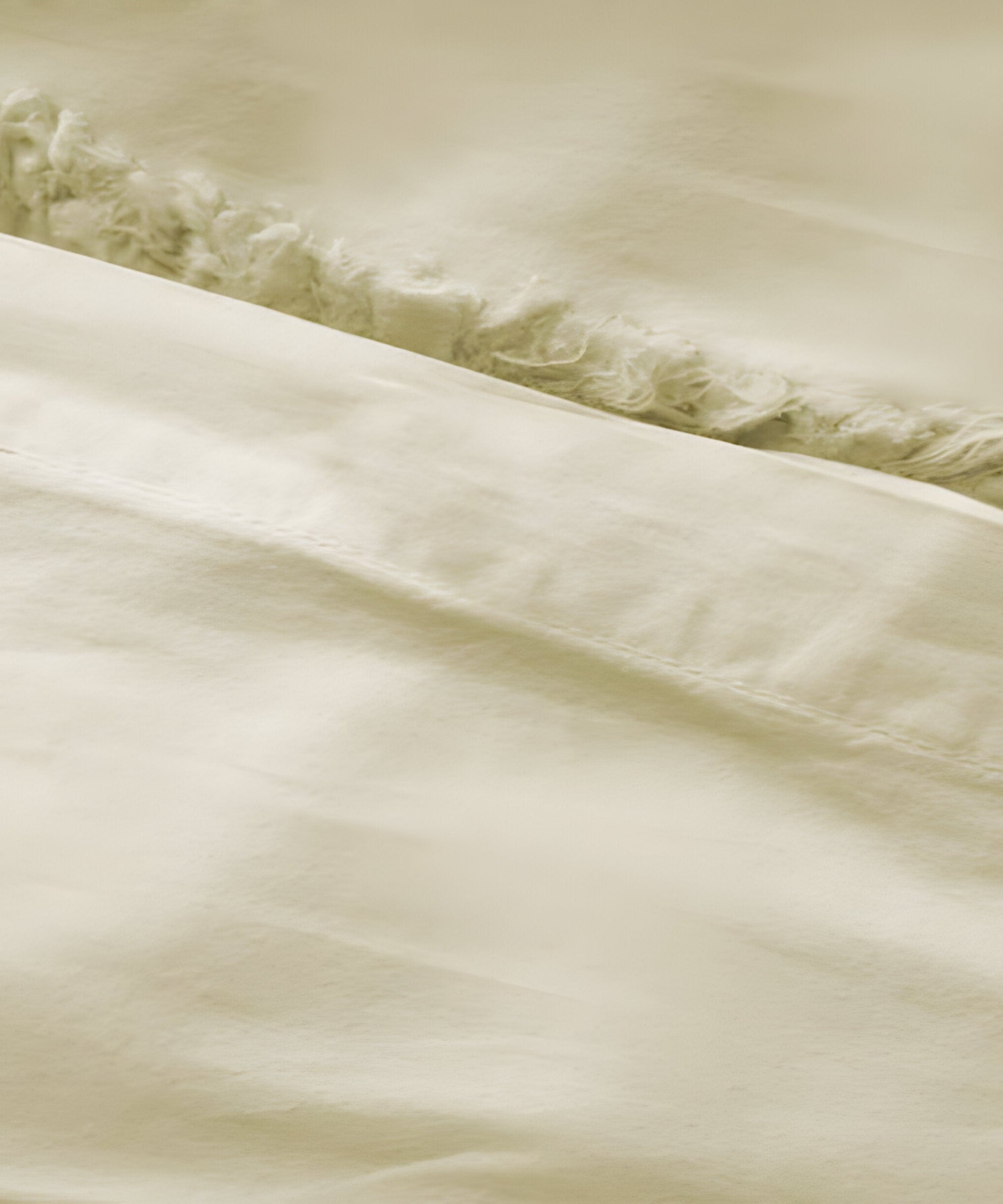 400TC Cotton Sateen Solid Fringe Duvet Cover Set