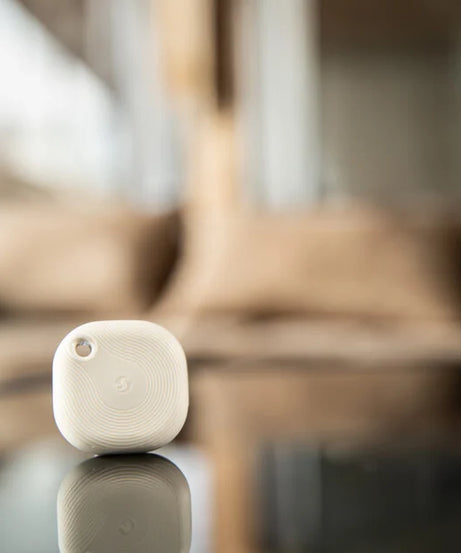 Shelly BLU Button Tough 1 Ivory