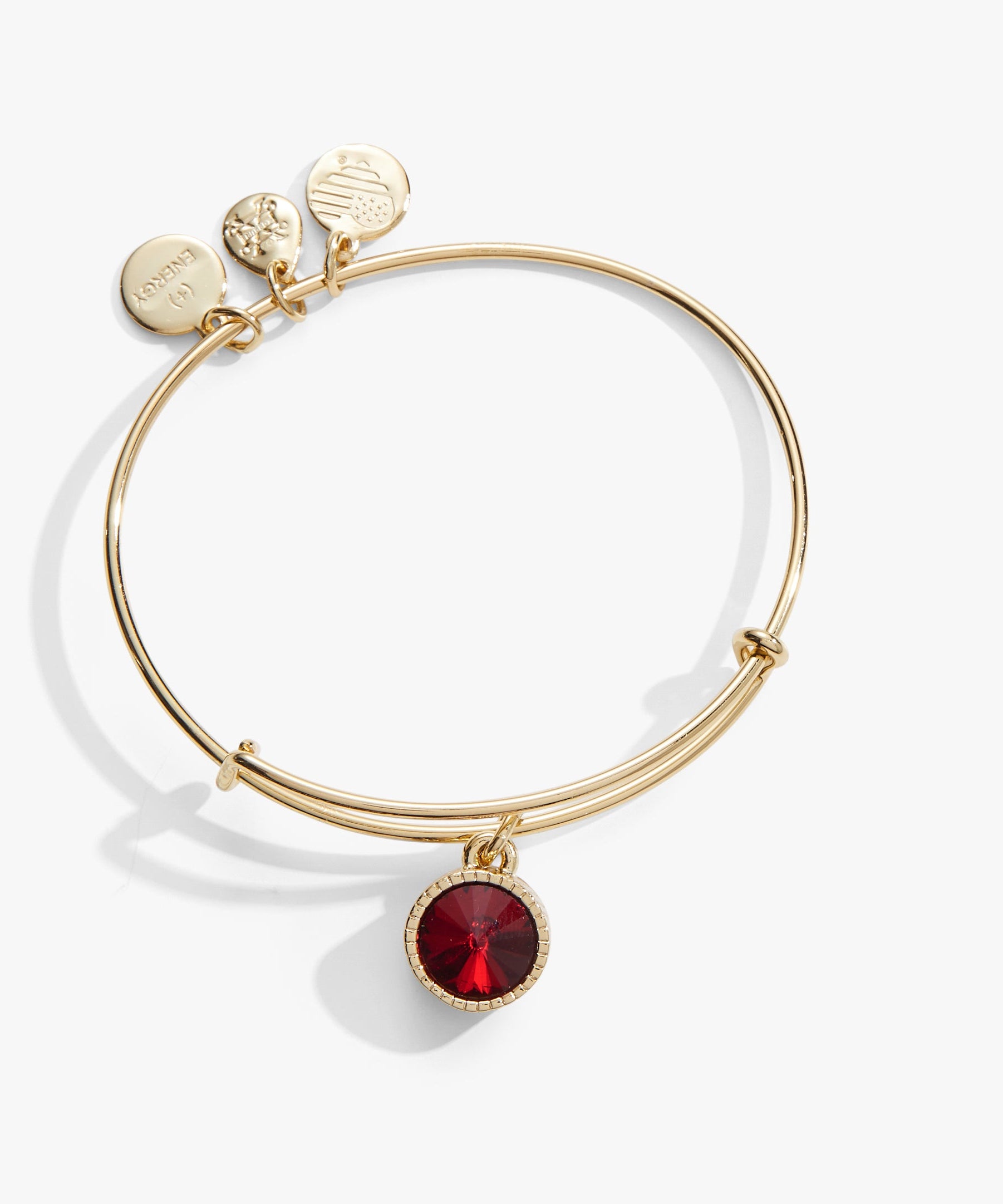 January Birthstone Charm Bangle, Scarlet