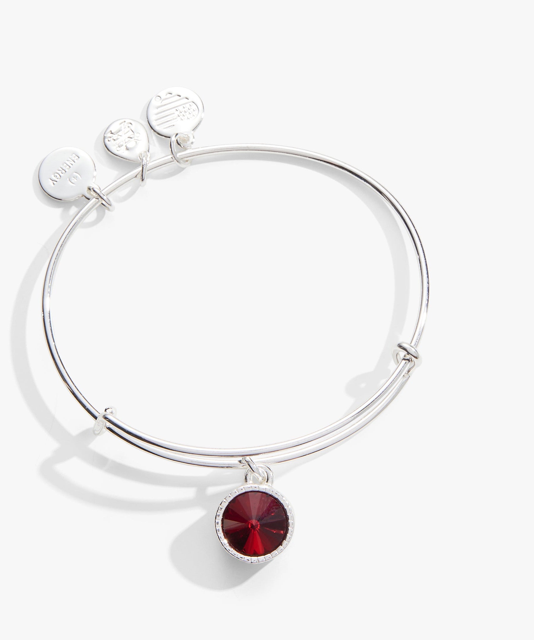 January Birthstone Charm Bangle, Scarlet